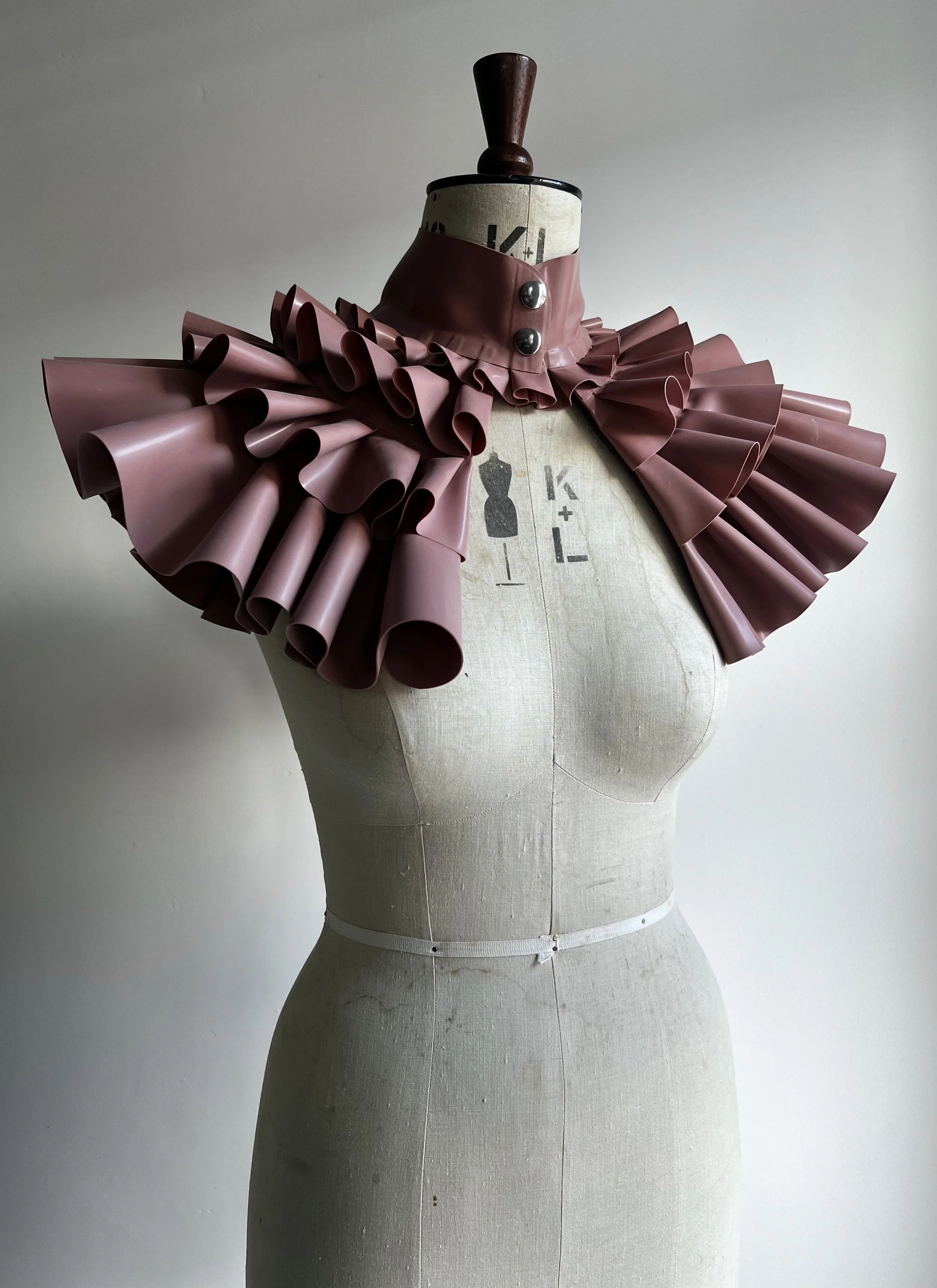 IMG_6508.jpeg