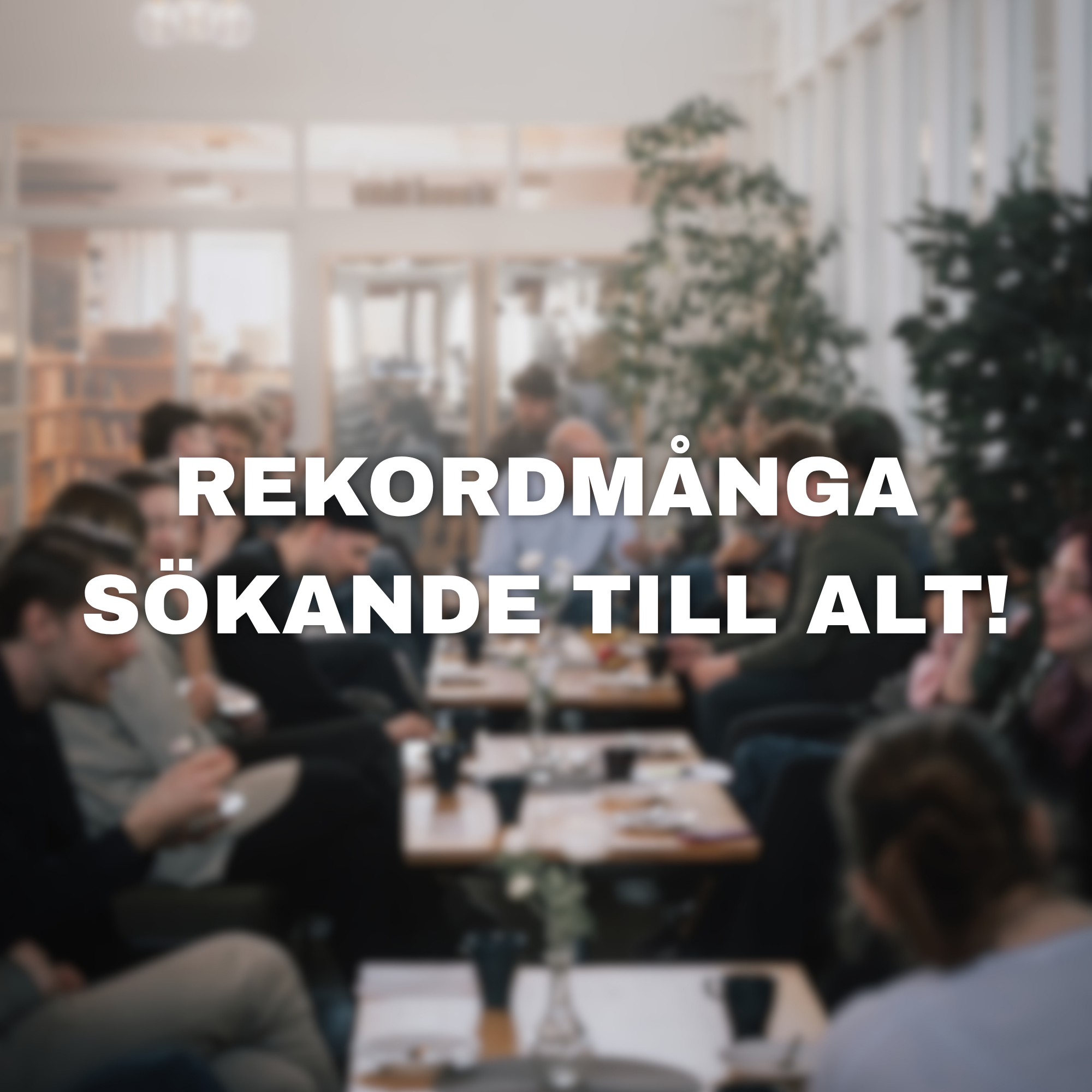 REKORDMÅNGA SÖKANDE TILL ALT
