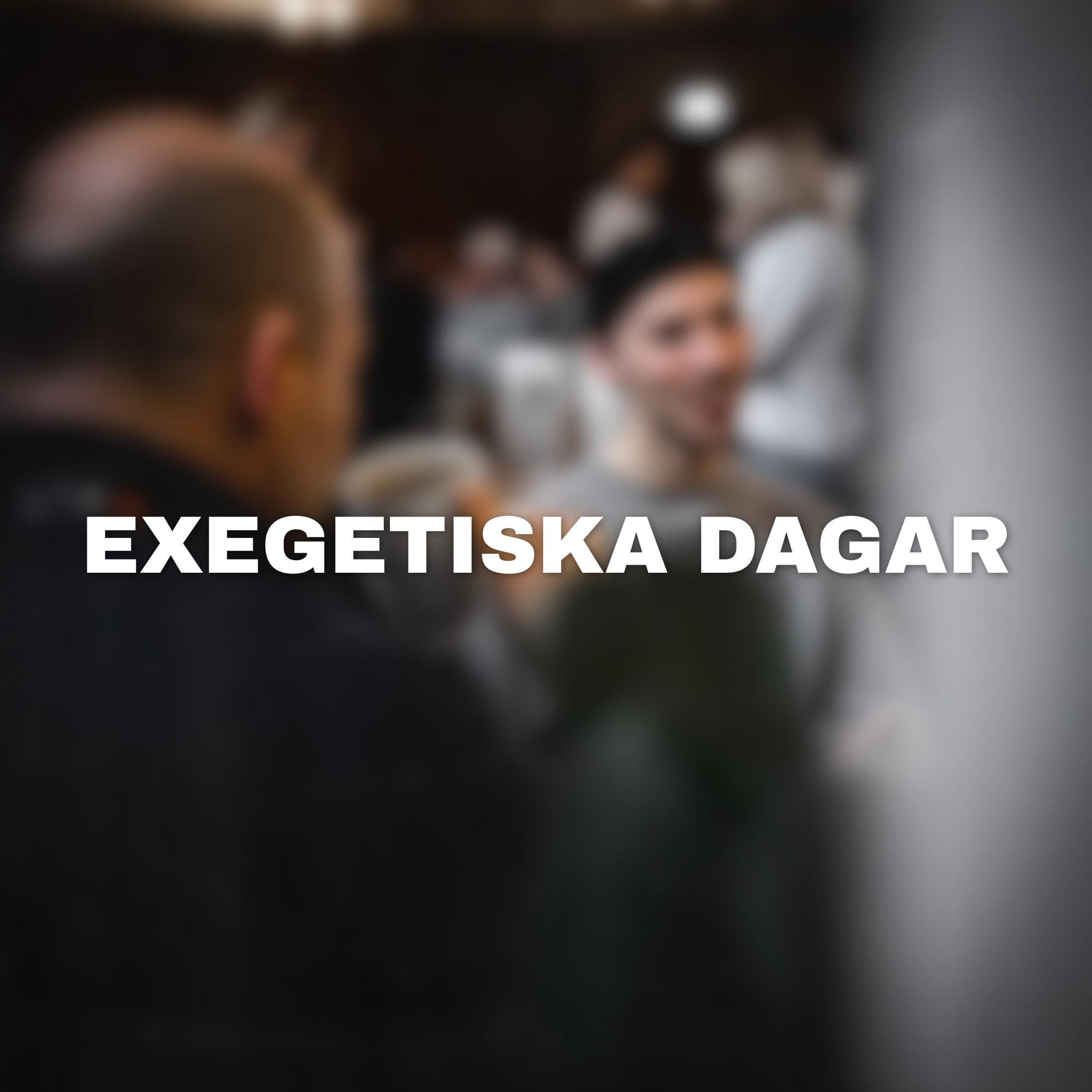 Exegetiska dagar