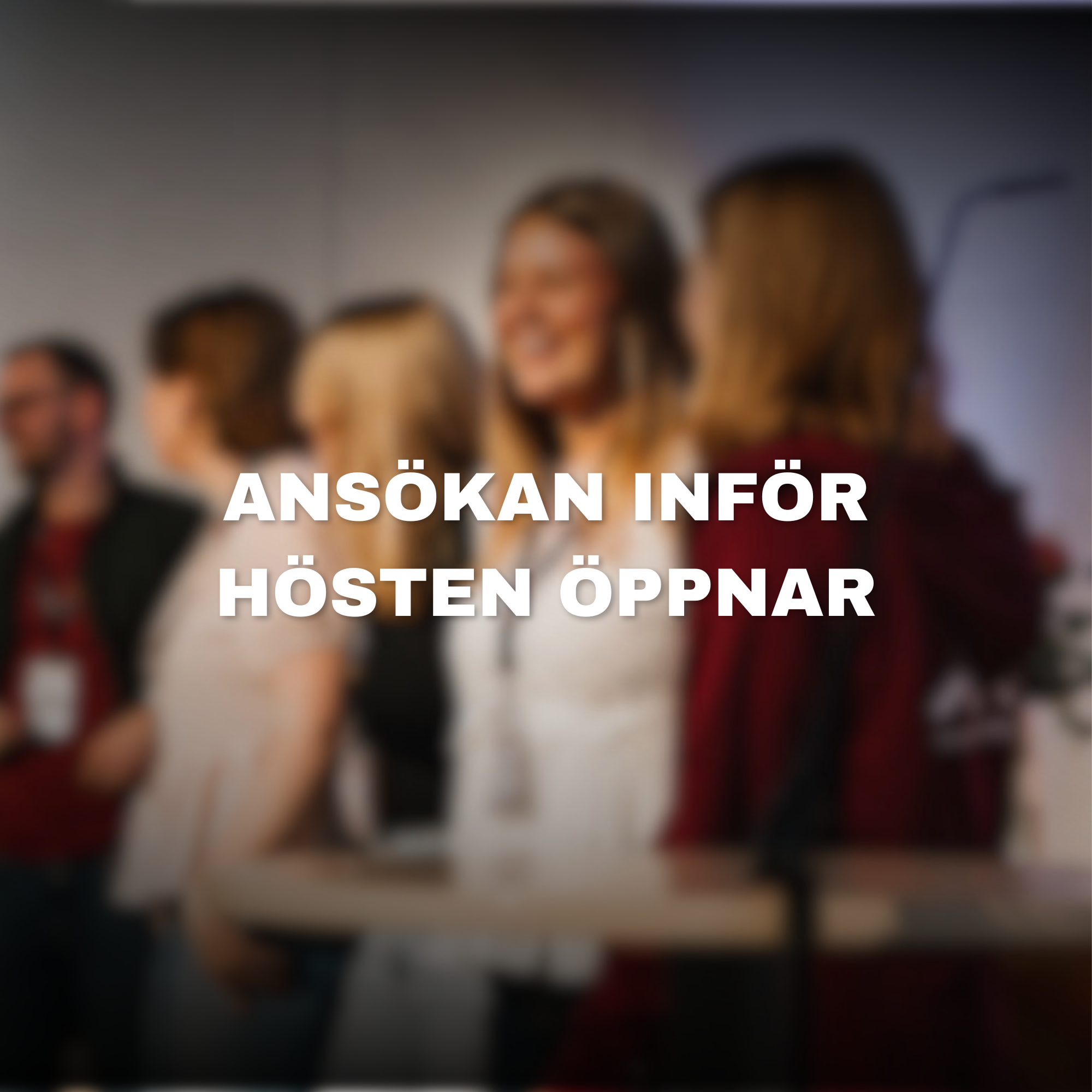 Ansökan inför hösten öppnar!