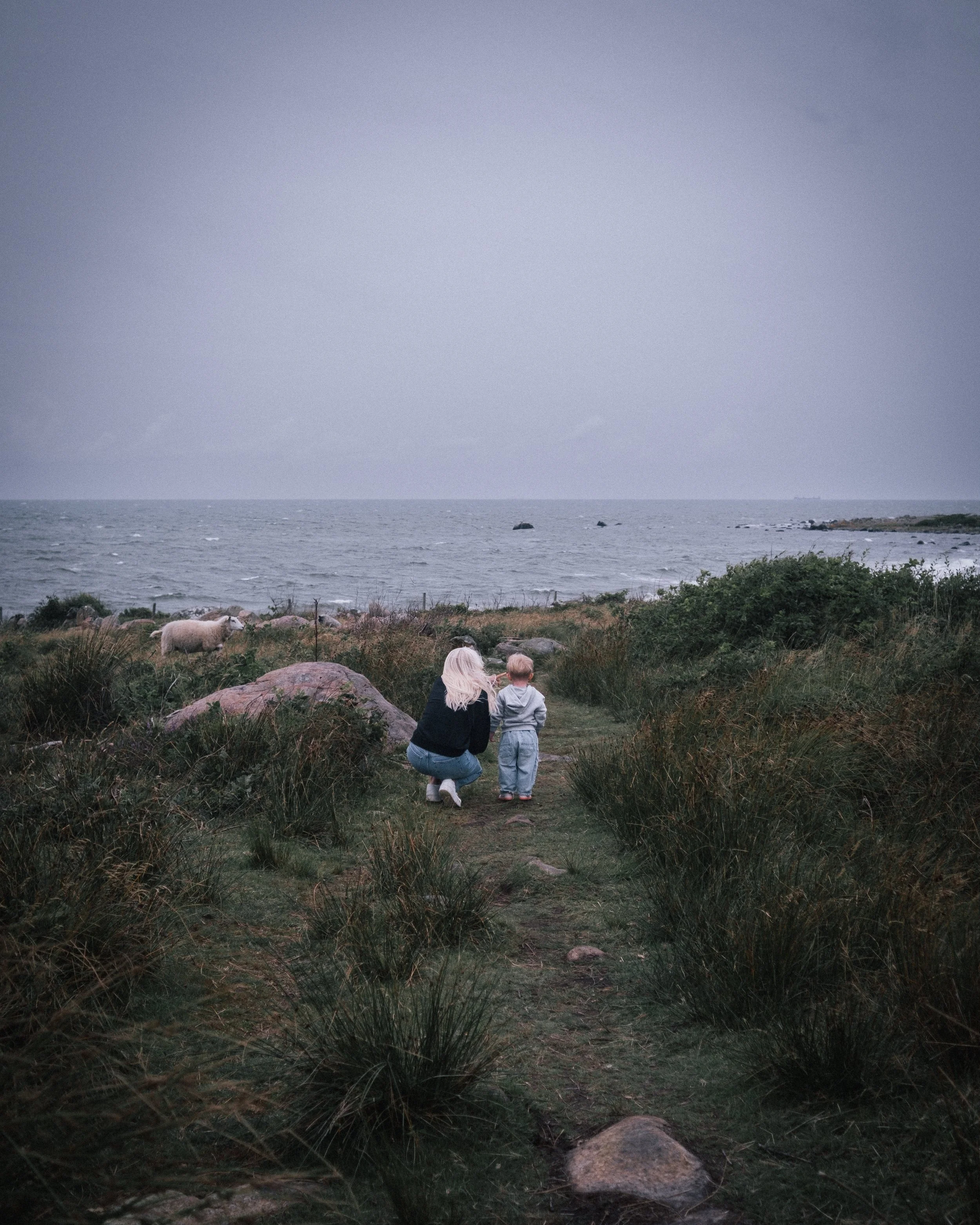 DSCF4862-2.jpg
