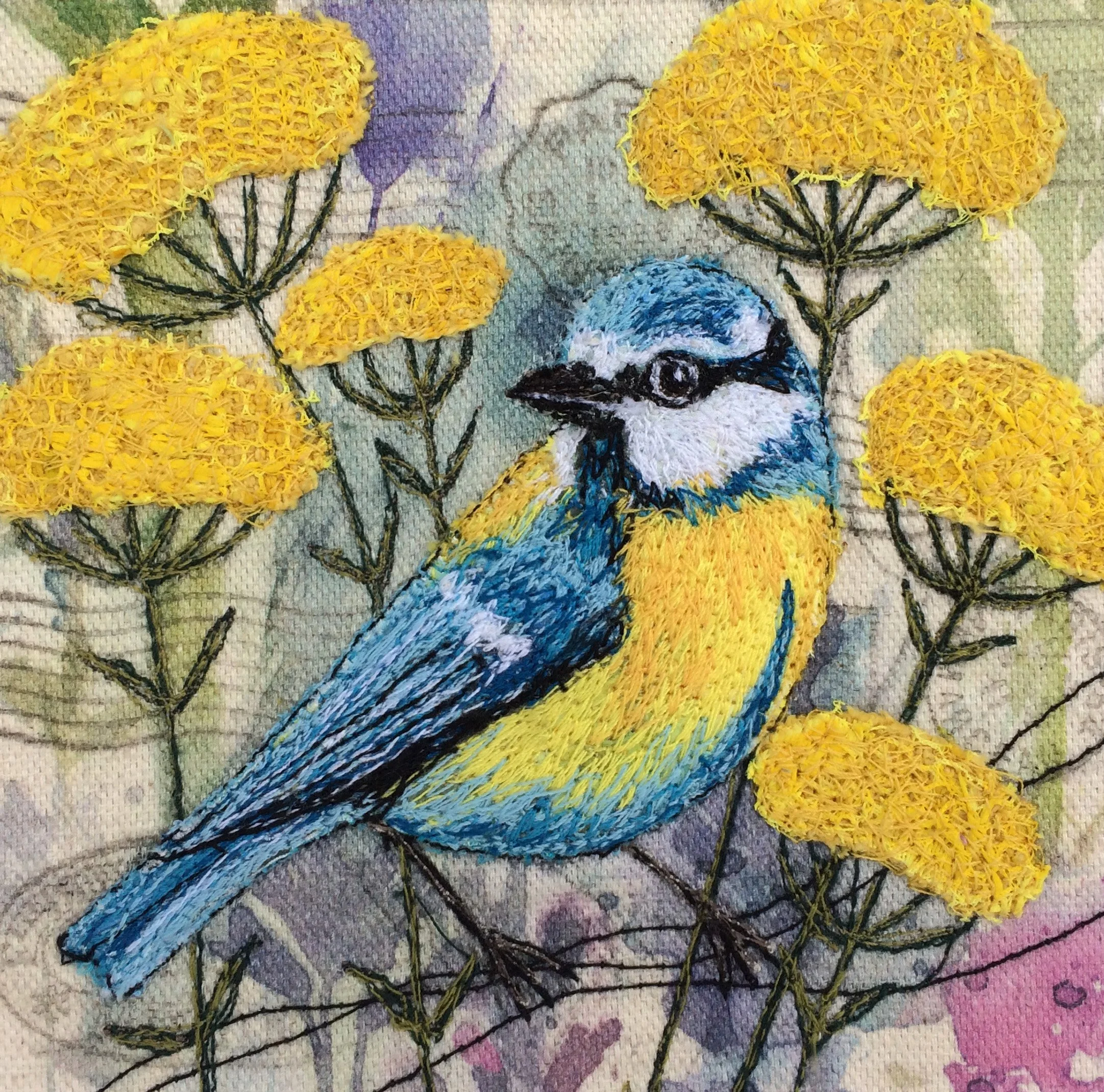 BLUE TIT.jpg