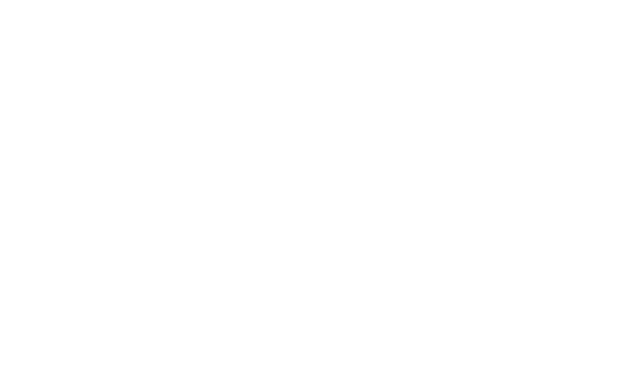 VISA logo in black and white.