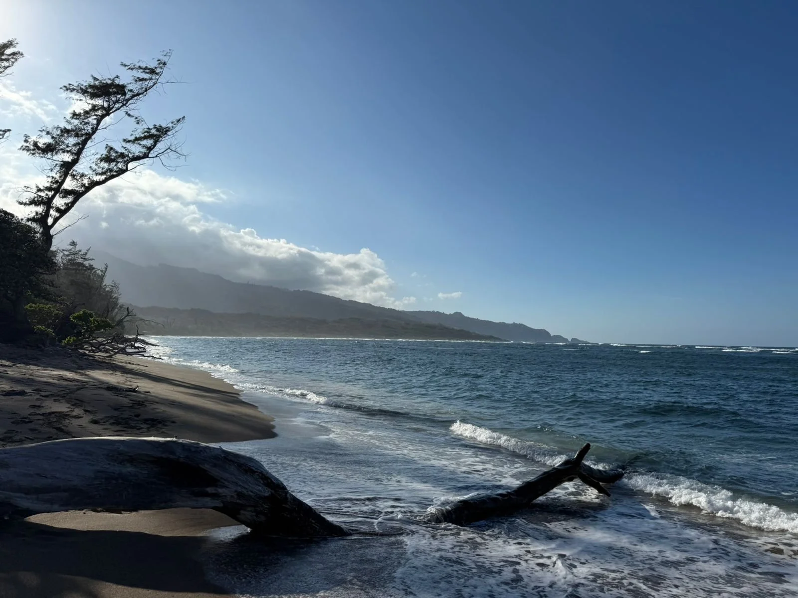 December 2025 Market Report for Maui