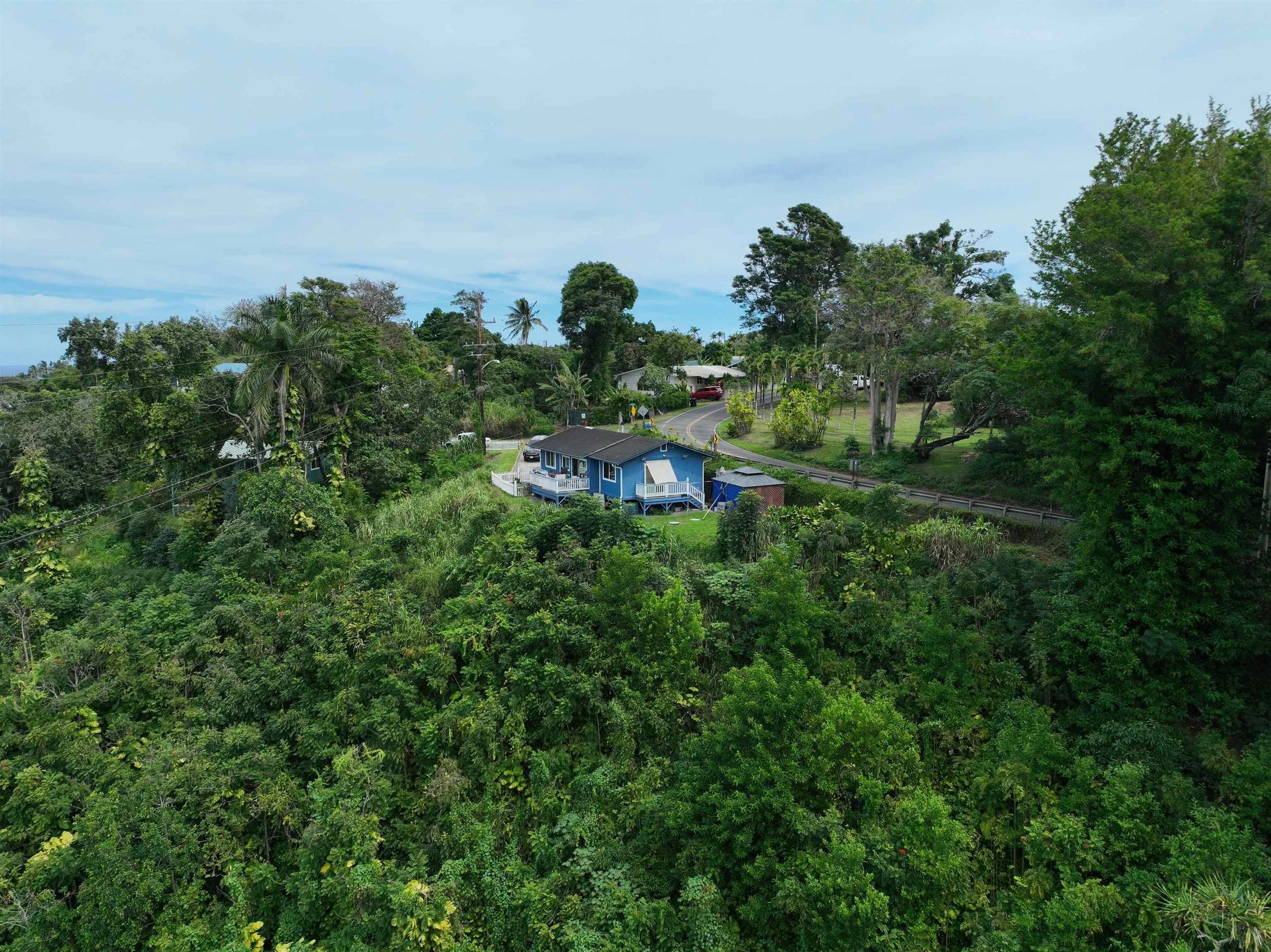 403746-88ca5d9b-37ab-4f2f-bb4a-dc4d6de1ff4c (1).jpeg