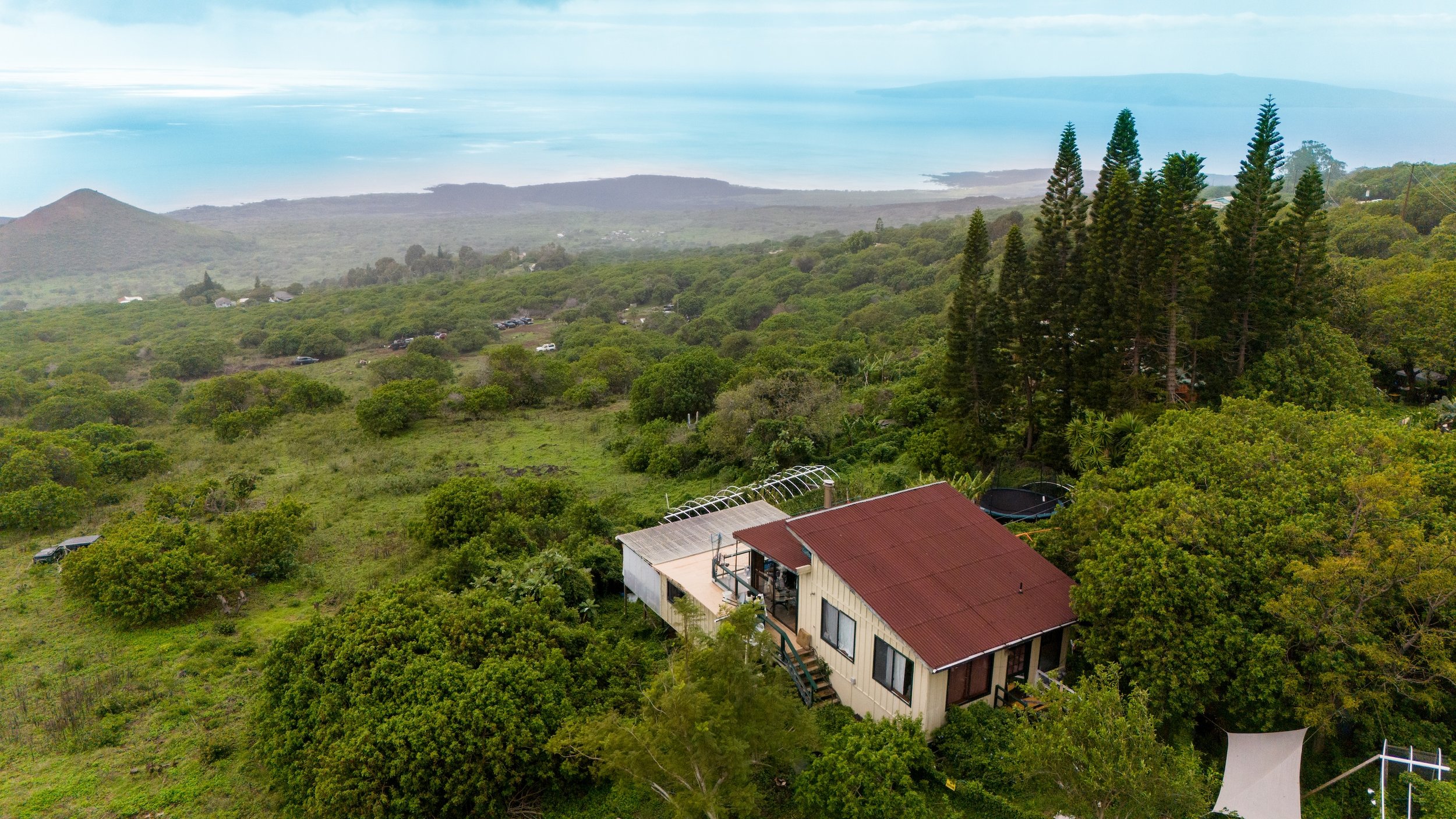 DJI_20240113135625_0238_D.jpg