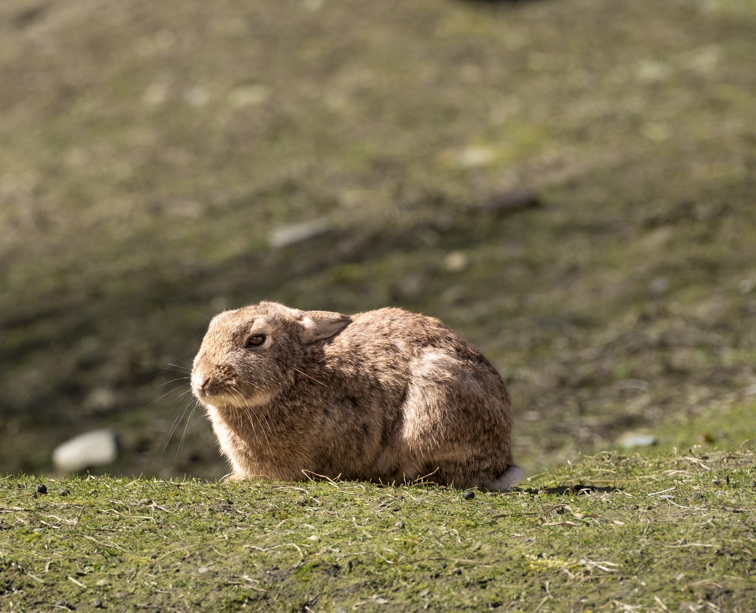 210424_1076 copy.jpg