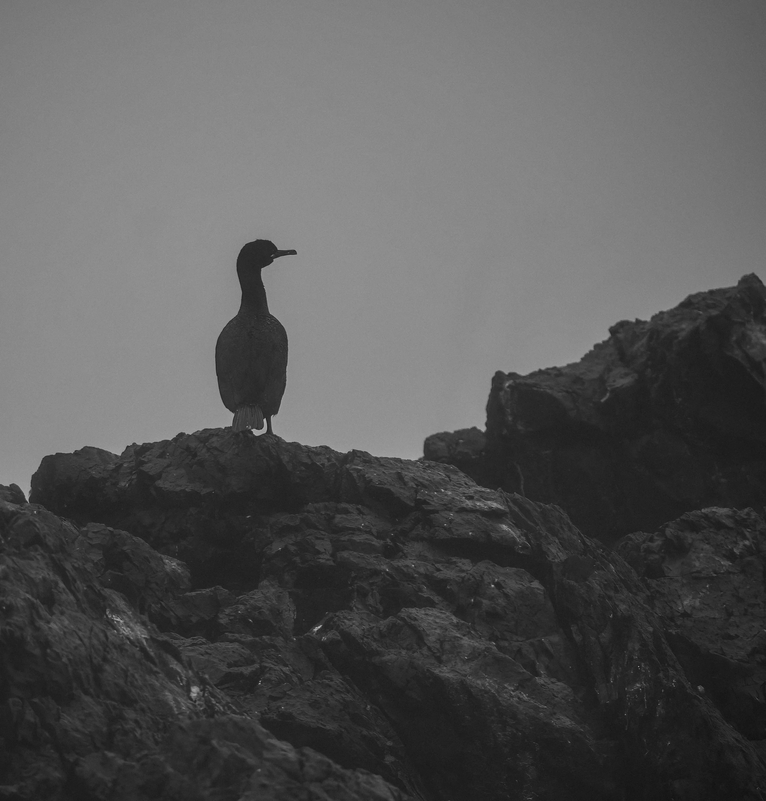 DSCF0313.jpg