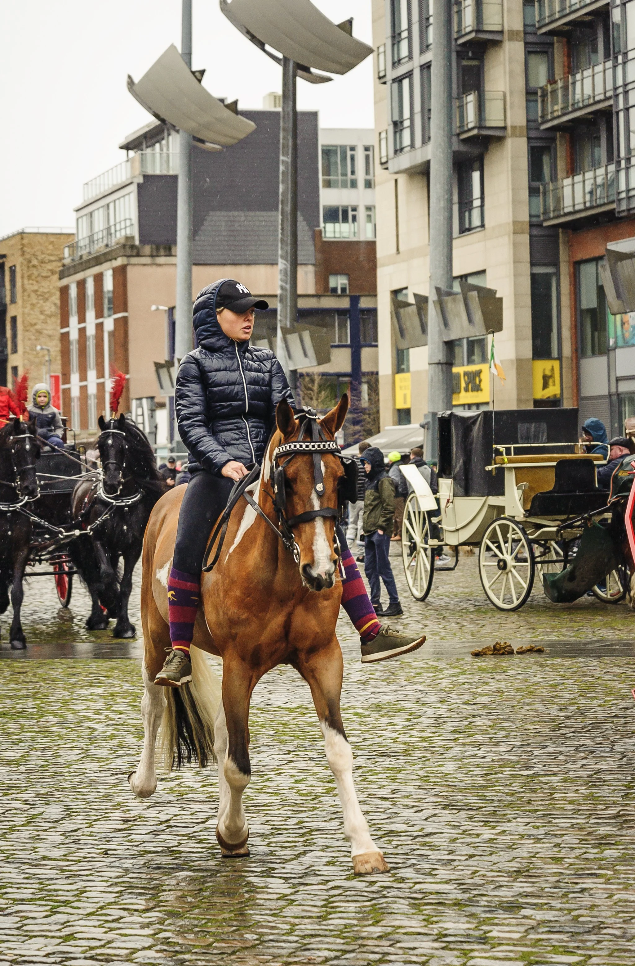 Smithfield Horse Fair 4861.jpg