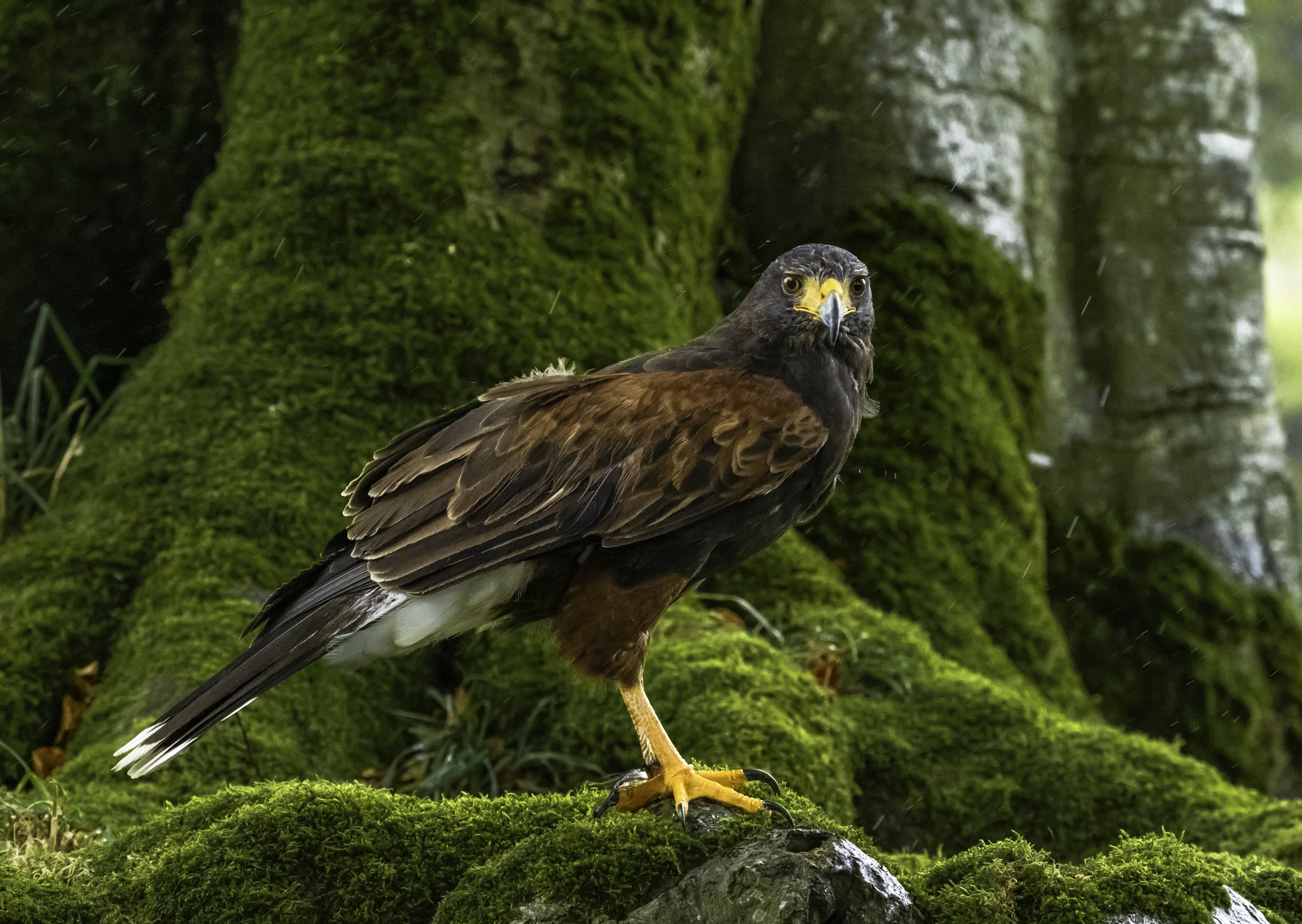 DSCF0517-Edit-Edit.jpg