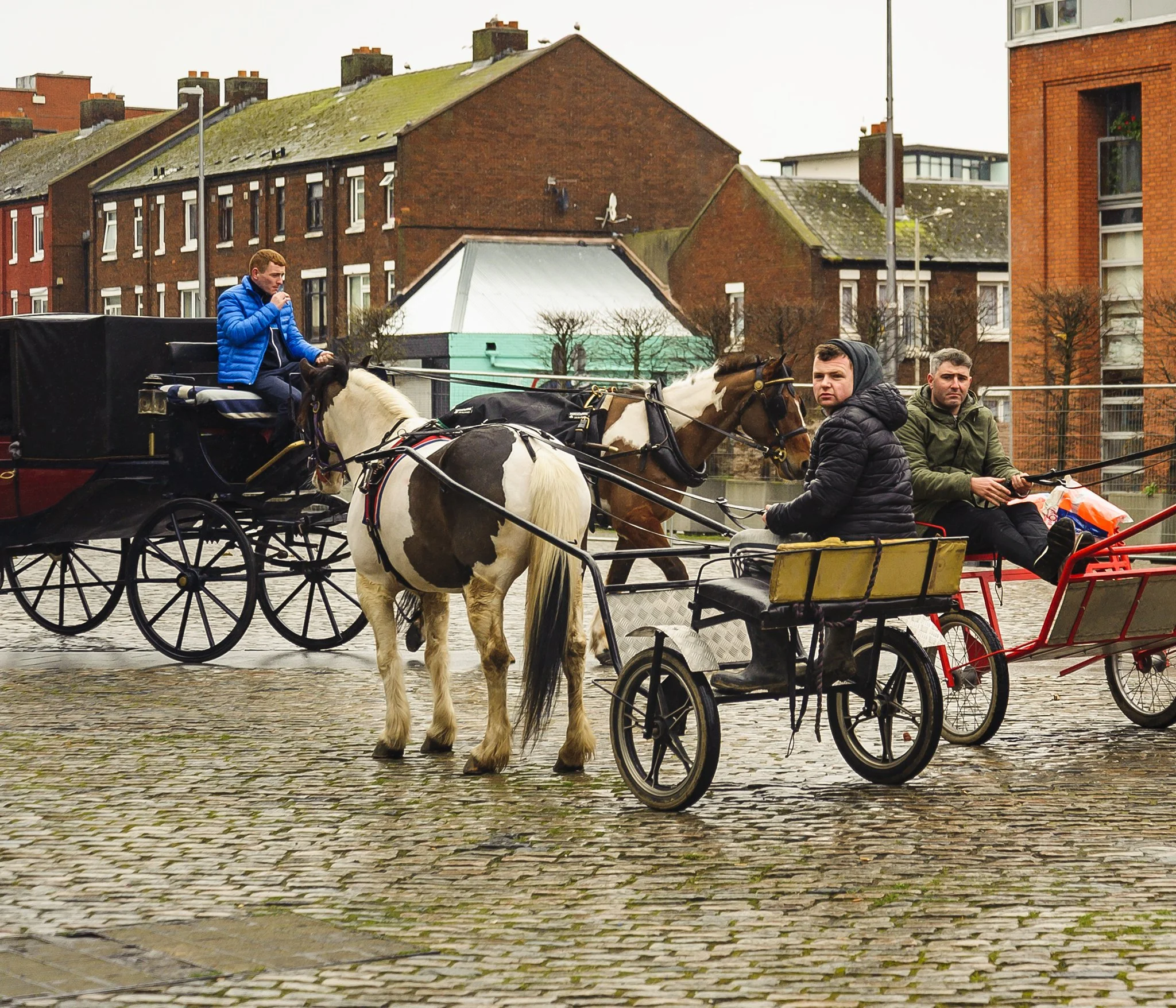 Smithfield Horse Fair -4710.jpg