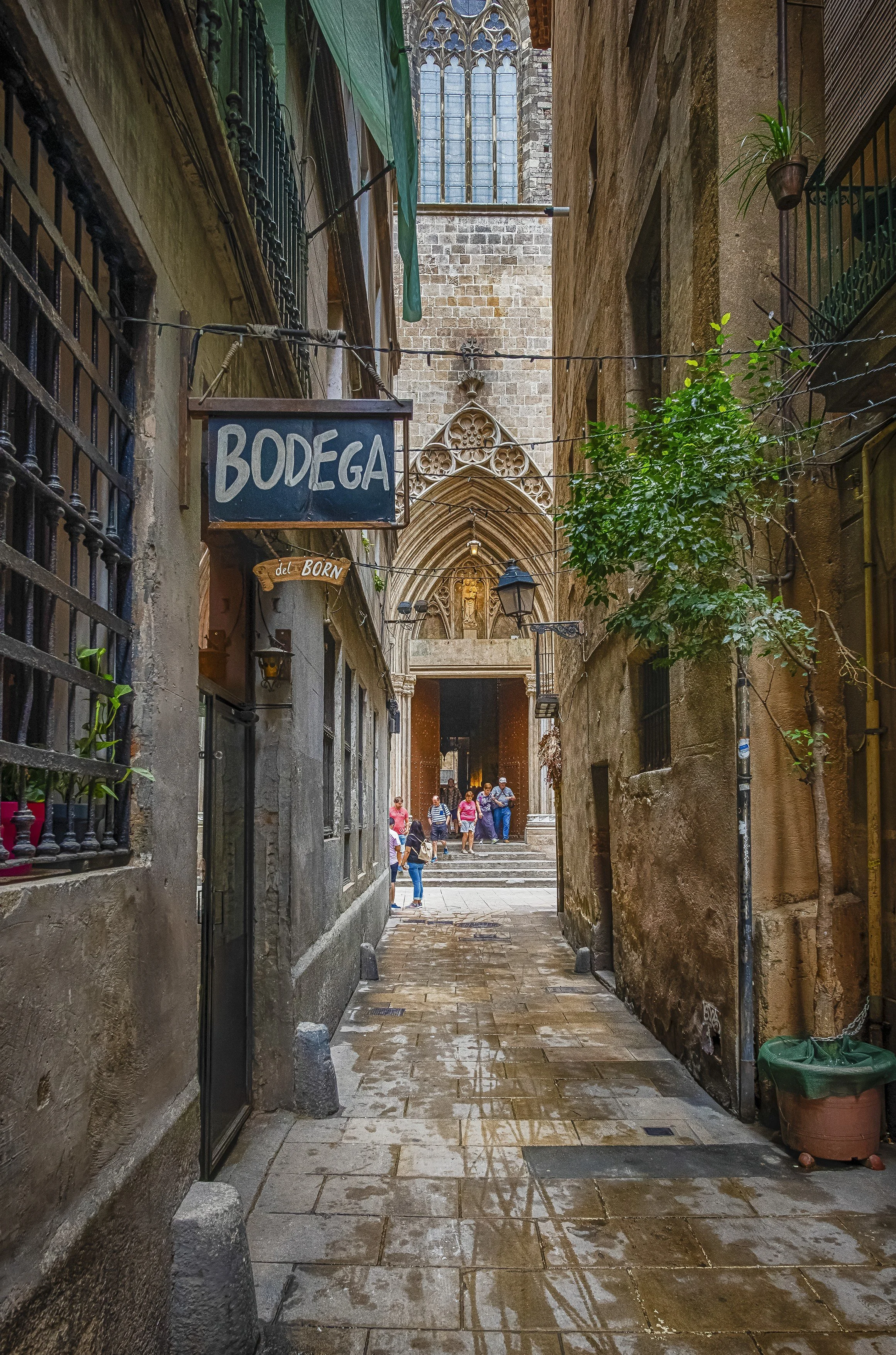 Bodega Alleyway.jpg