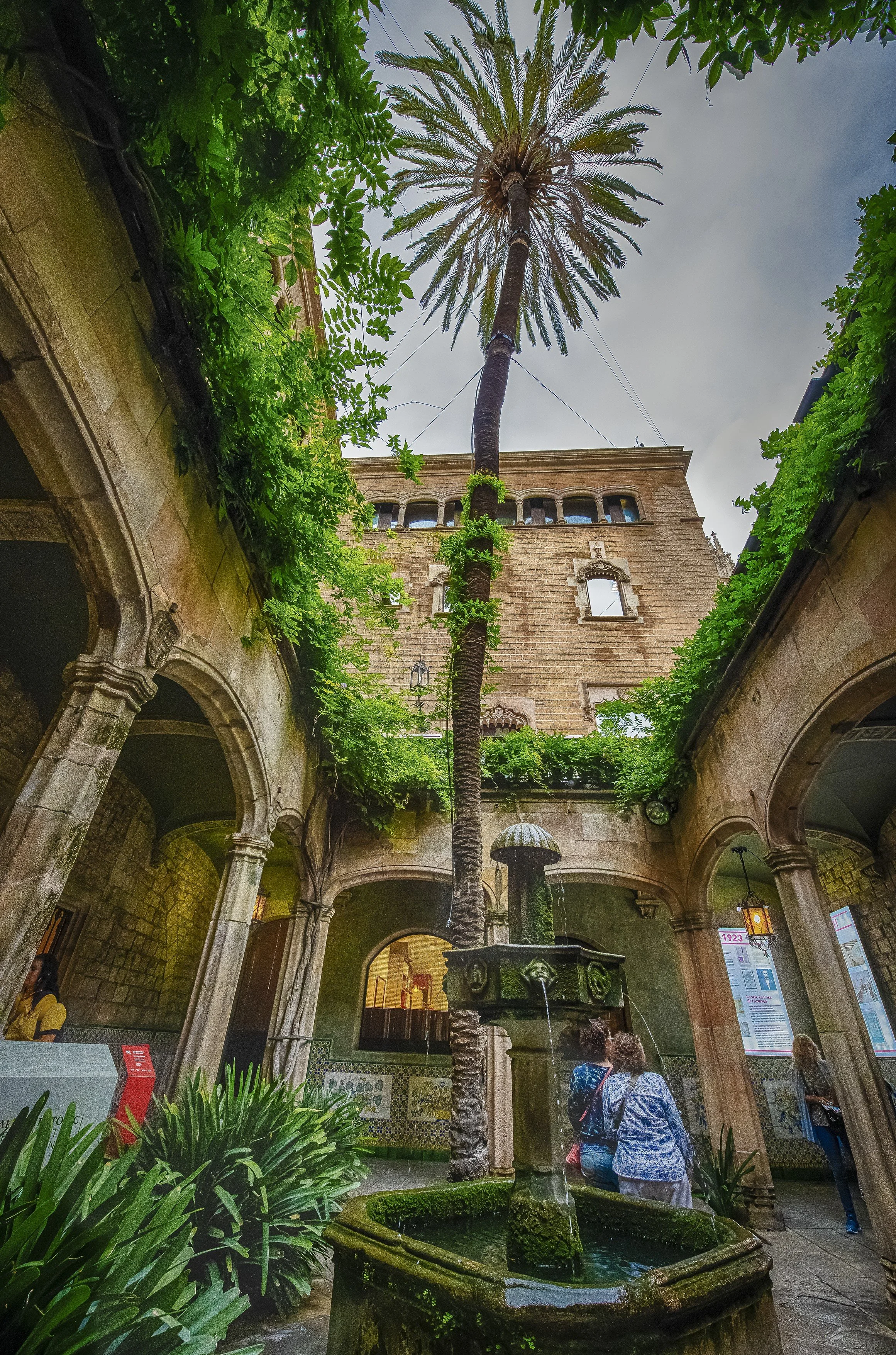 Court yard Fountain & tree.jpg