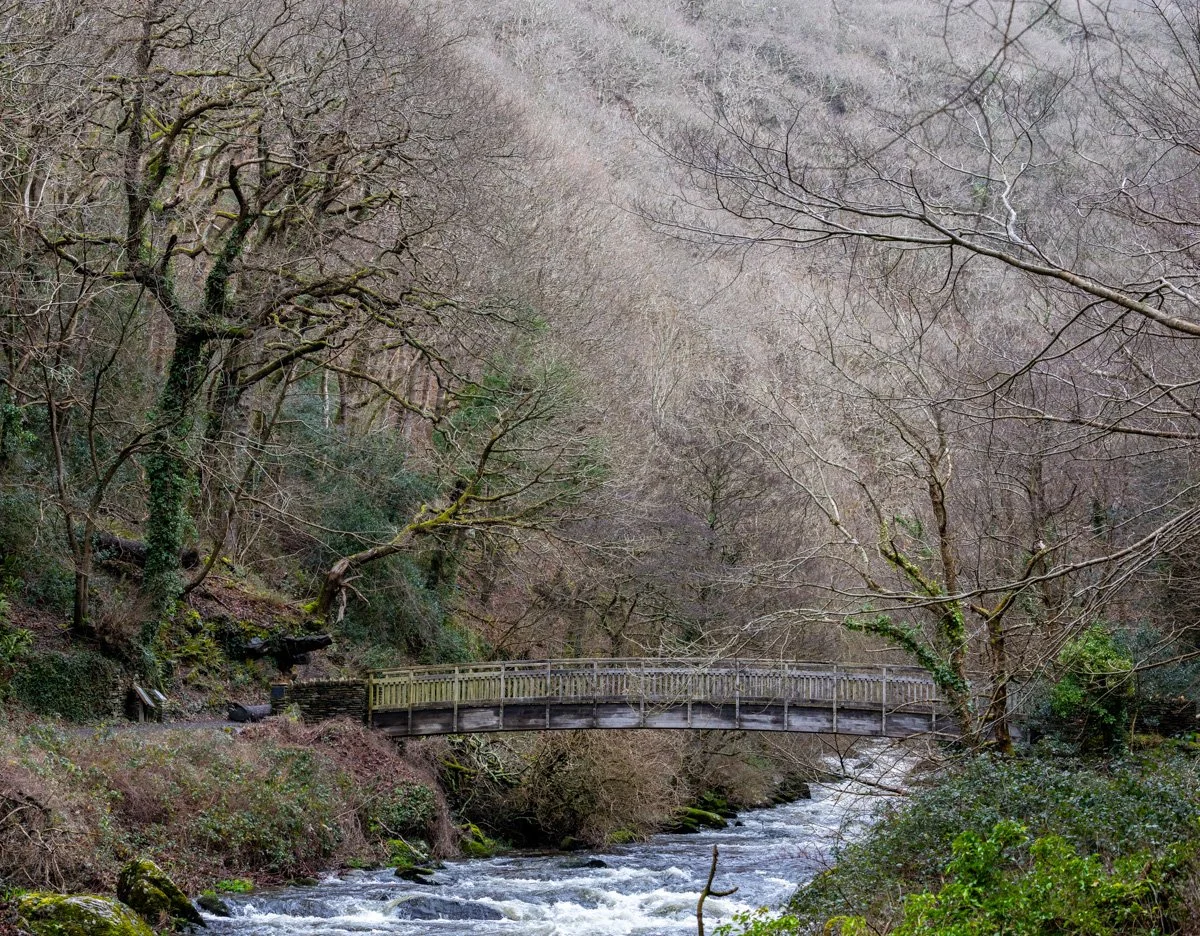 Tranquil Forest Bridge  Art aluminum