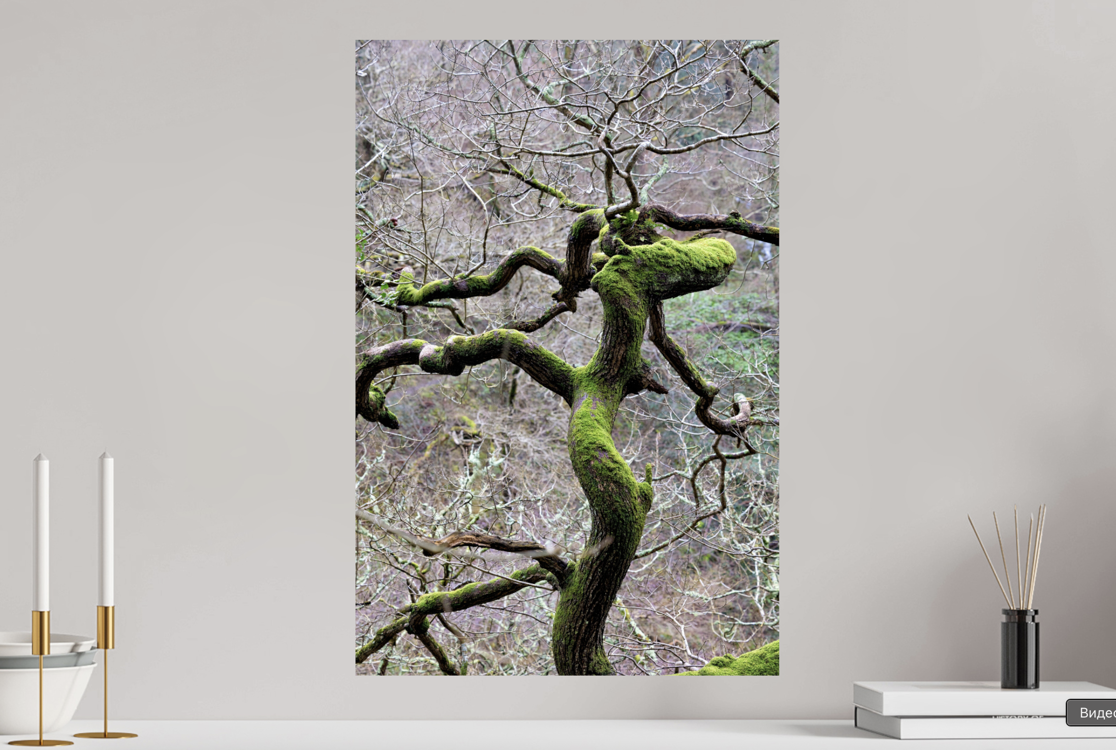 Снимок экрана 2026-02-21 в 17.49.42.png