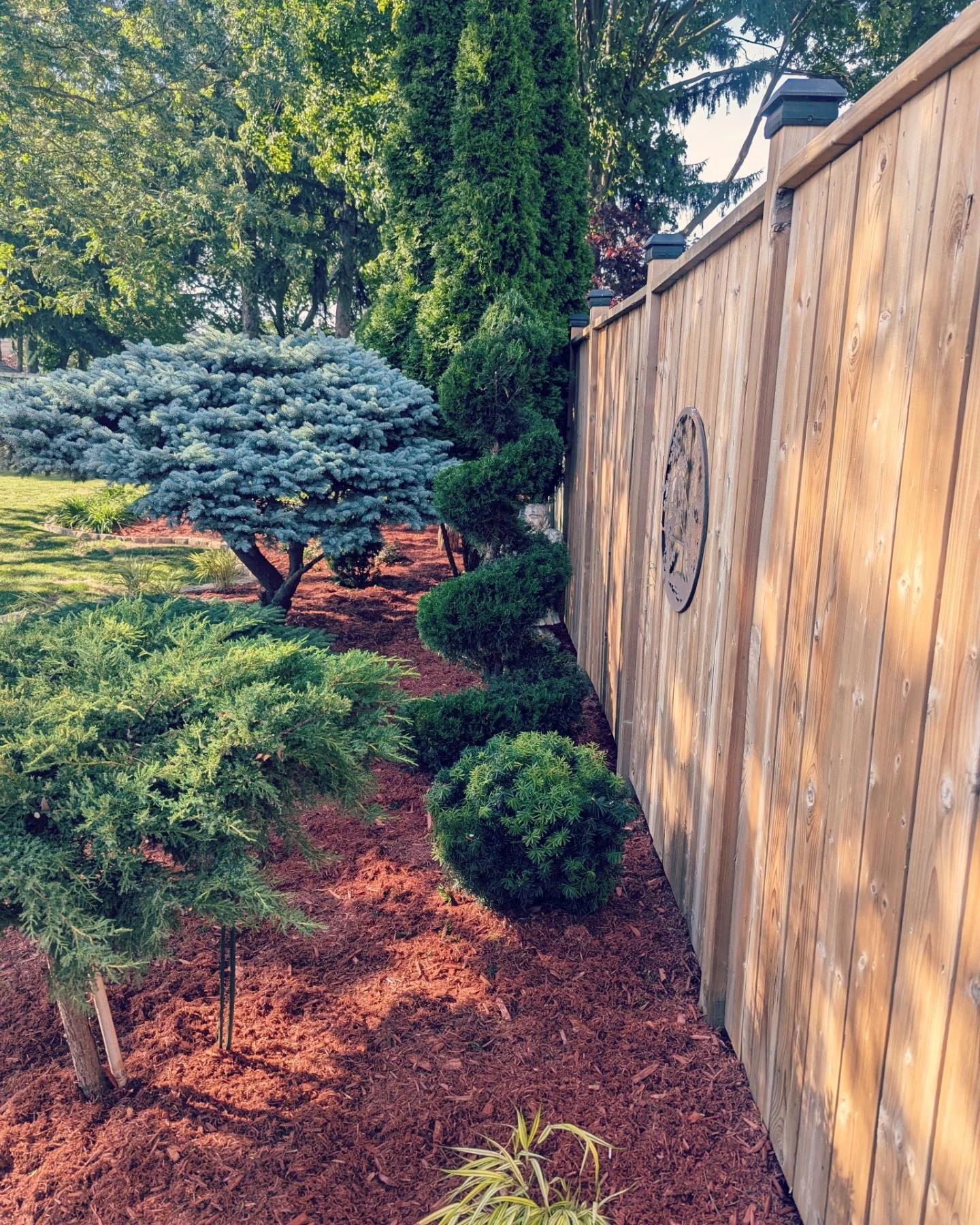 Topiary requires the right tools, training and attitude, especially if it hasn't been trimmed in a few years 🧐

Scroll to see some recent trimming transformations from Dance in the Rain.