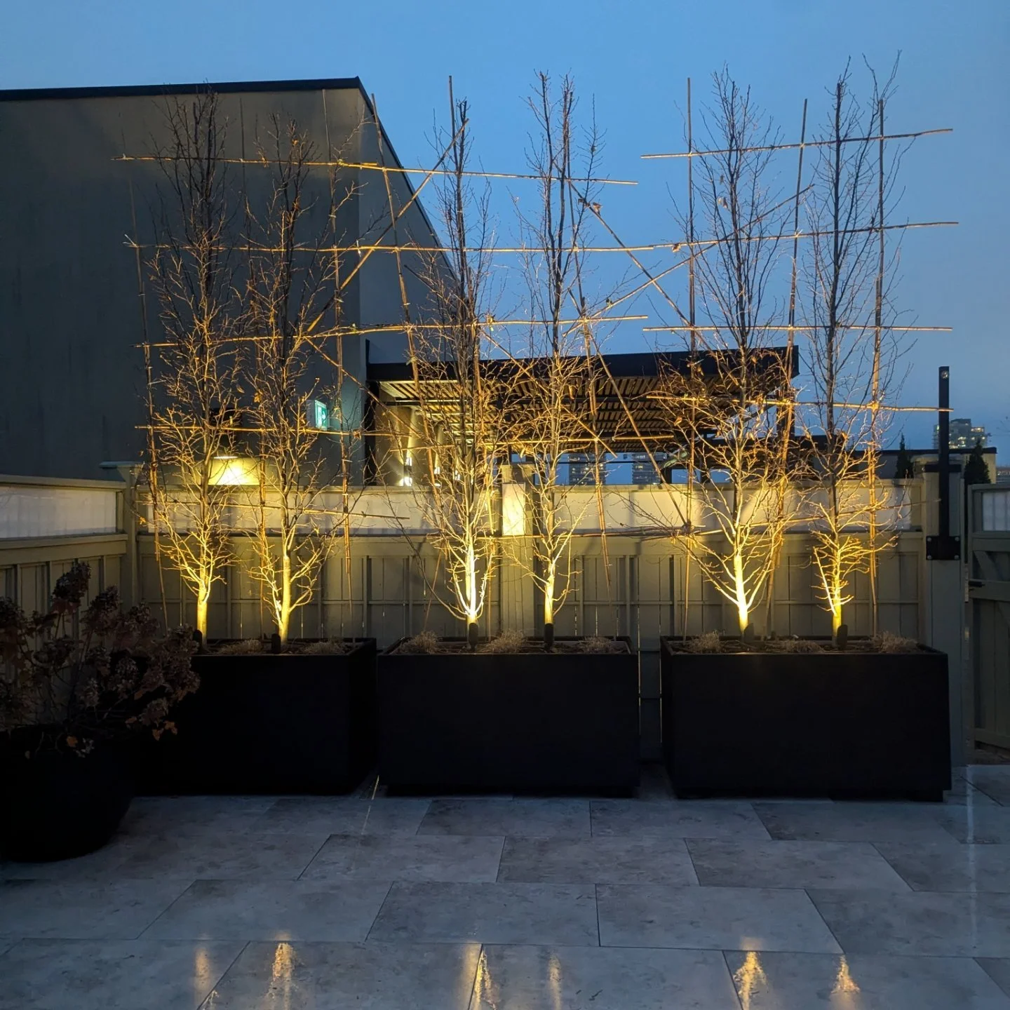✨ As the days grow shorter, there&rsquo;s something magical about seeing the garden glow at 5 PM. 🍂 The soft shimmer of landscape lighting highlights every detail, reminding us that it&rsquo;s time to start wrapping up the season. Let&rsquo;s soak i