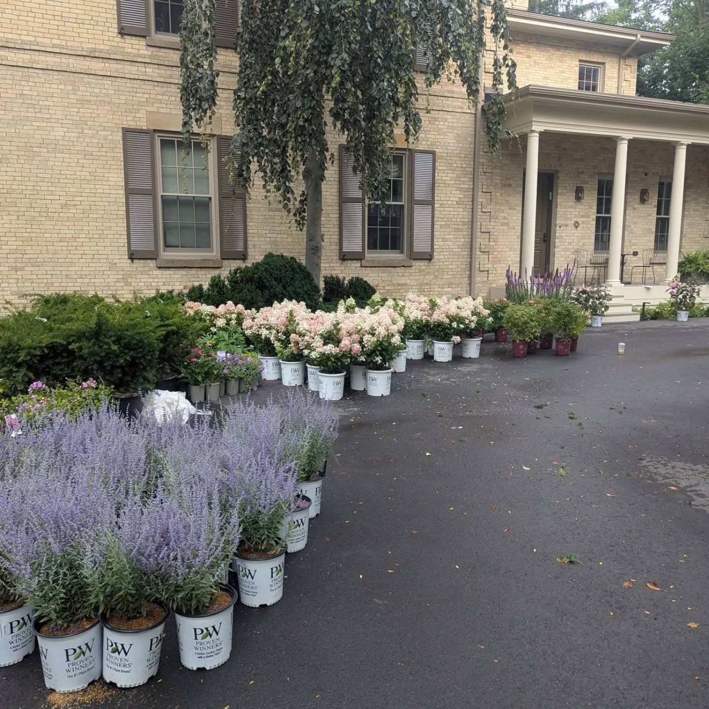 Over 100 plants later and this Rosedale garden just got a whole lot more colourful.

The existing garden was already beautiful, but we gave it a seasonal boost that brings twice the colour without losing the structure and calm it already had. Swipe t