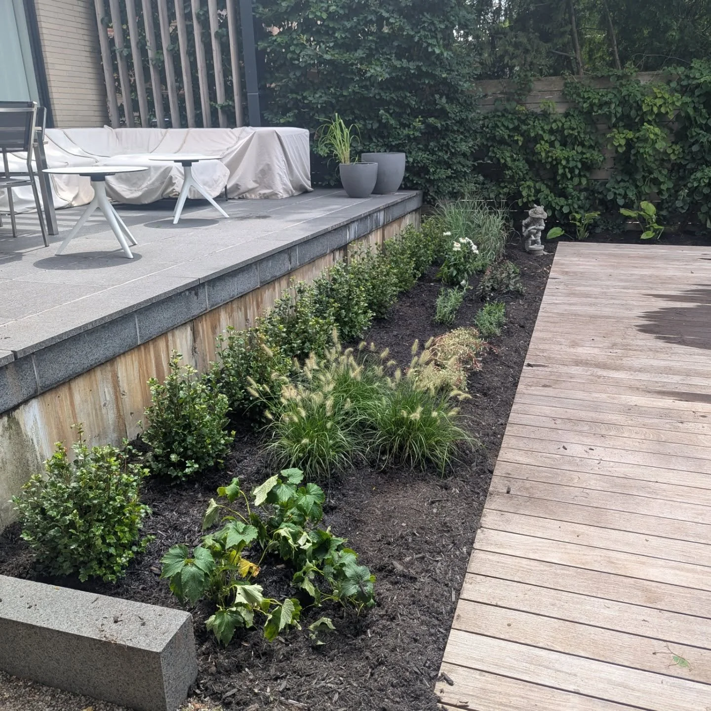 Quick backyard glow-up 🌿✨ A tidy planting refresh with clean lines and lush texture, designed by @carinacassidy . Just the right amount of green to soften the edges and elevate the space.

#BackyardRefresh #CarinaCassidyDesign #GardenGlowUp #Landsca