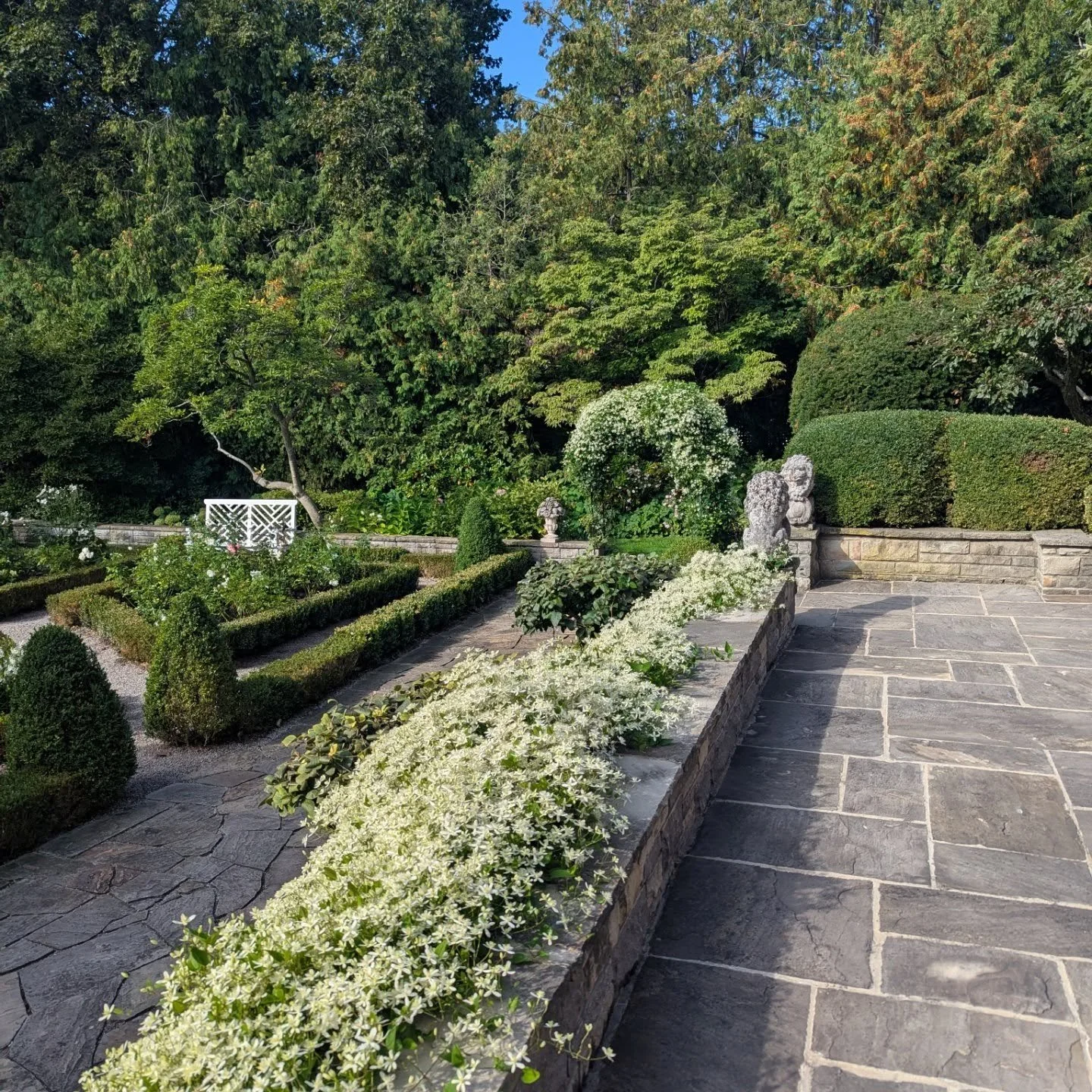 All the work is worth it when clients get to enjoy results like these. Training trellises and arches takes time and care, but seeing them dressed in flowers makes every effort worthwhile. 🌿🌼