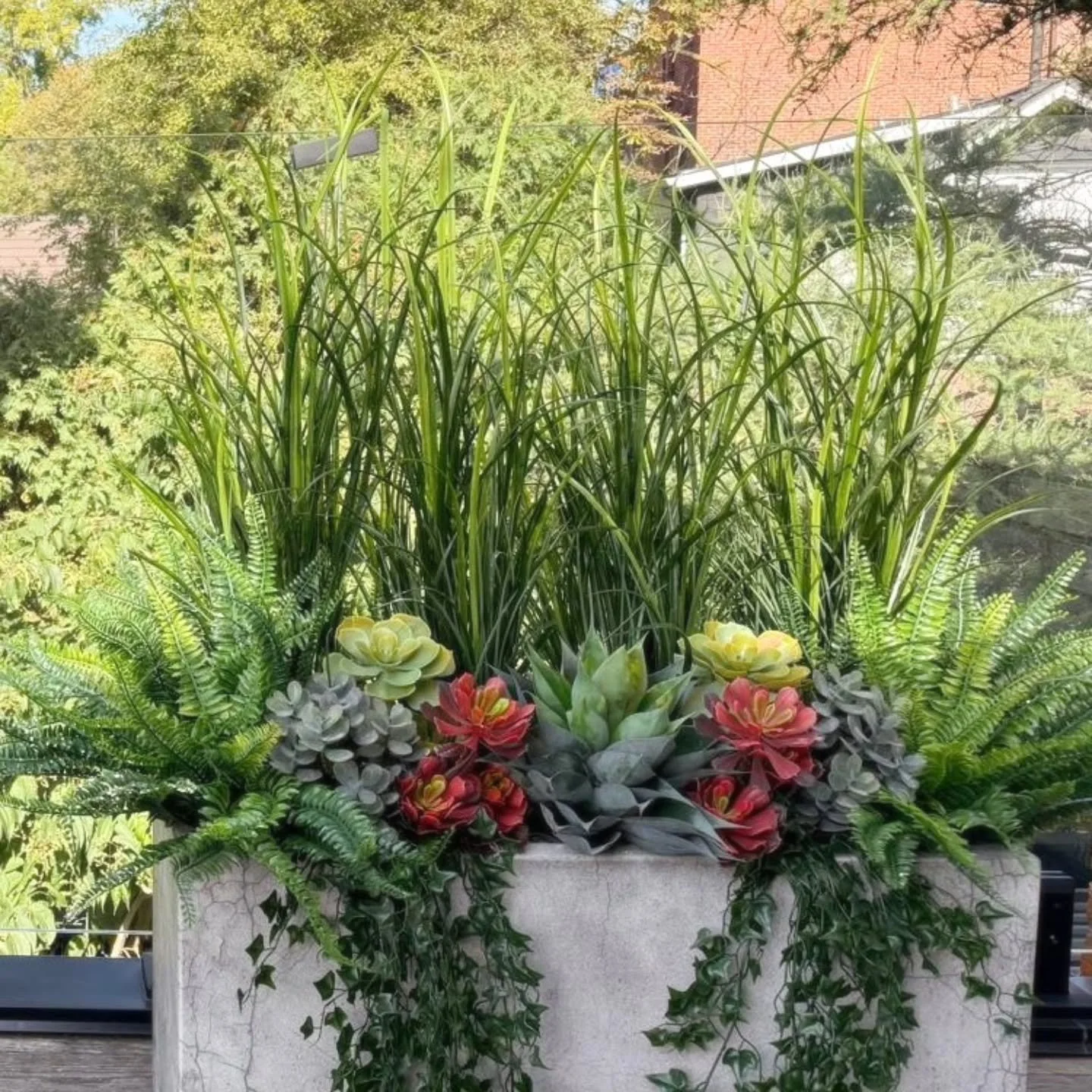 Once forgotten, maintenance inaccessible, and without irrigation, this rooftop terrace is now a lush, no-maintenance retreat. 

Designed by @alba.lbns using materials from @maclawinc -  it exceeded every expectation.