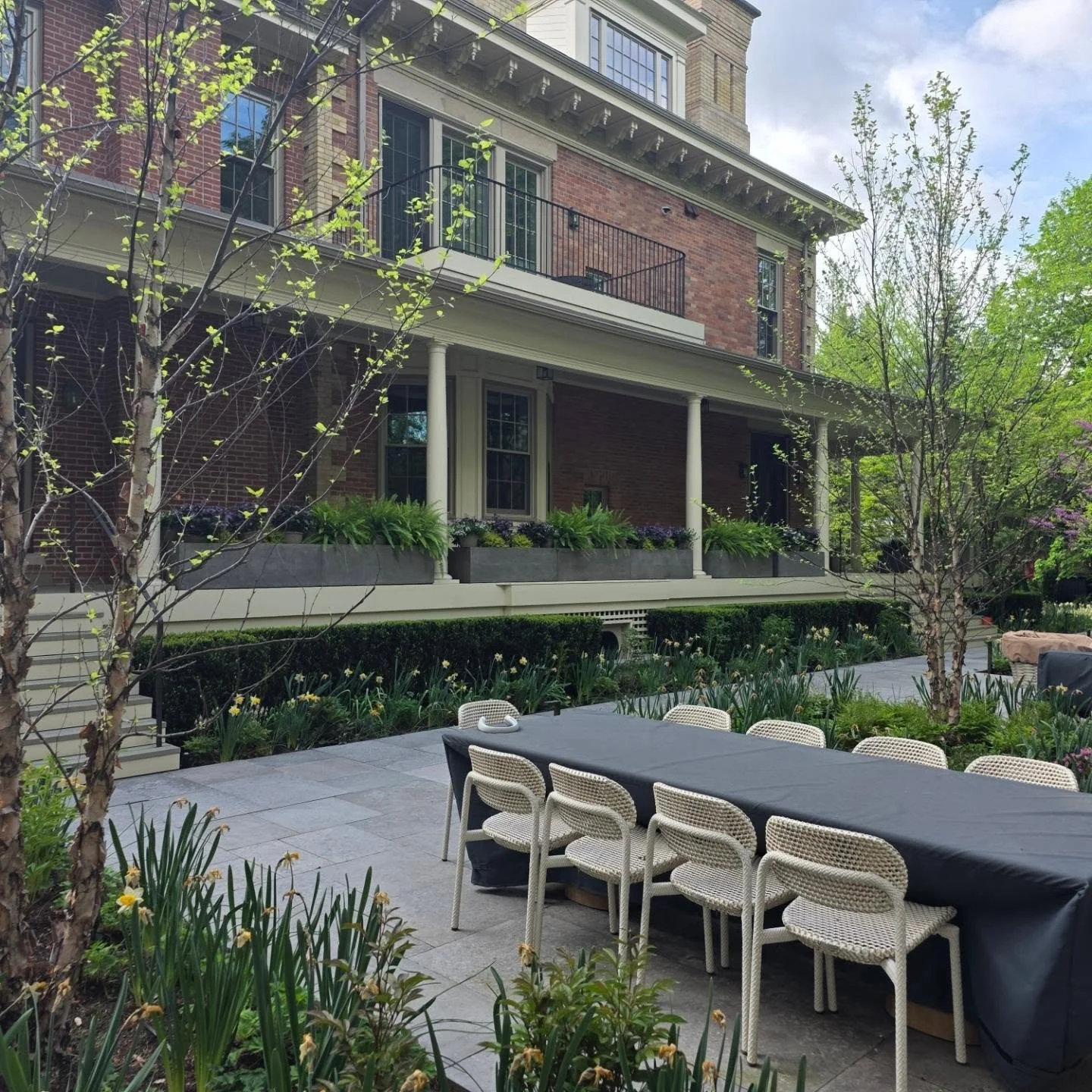 Starting the summer season off right 🌿

Our first large-scale seasonal planter installation of the year is complete at this beautiful wraparound garden in Rosedale. Hundreds of plants, layered textures, and fresh summer colour throughout the propert