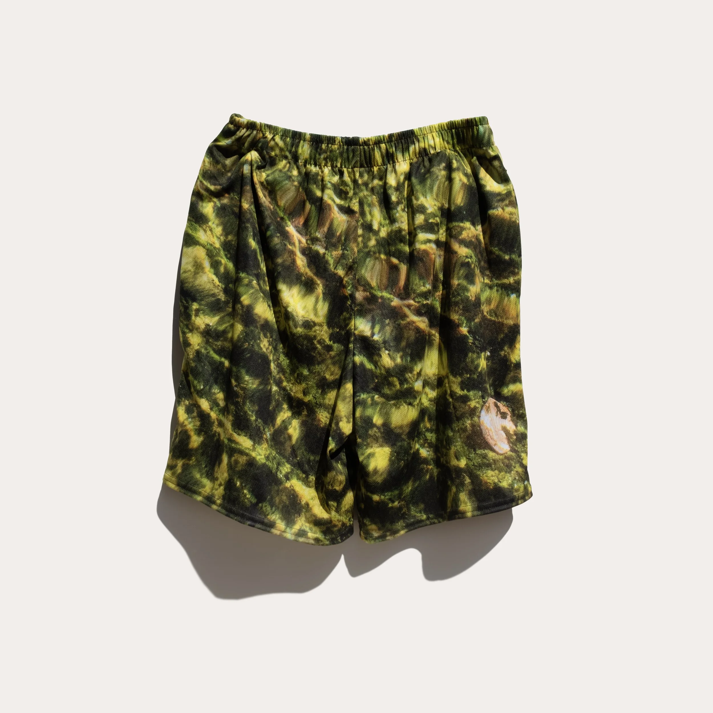 shorts_back_hanging.jpg