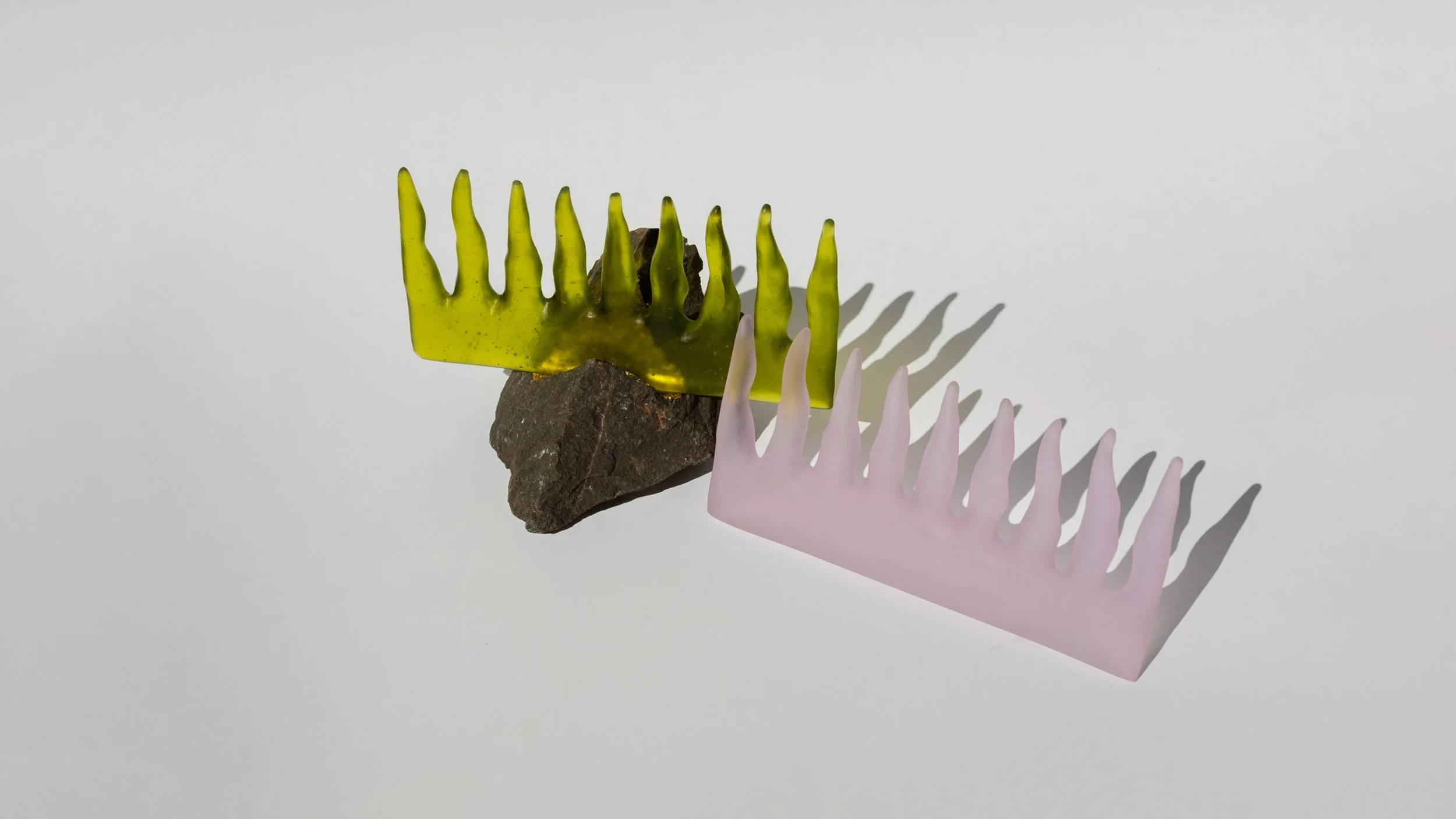 cura-combs_erbium-seaweed.jpg