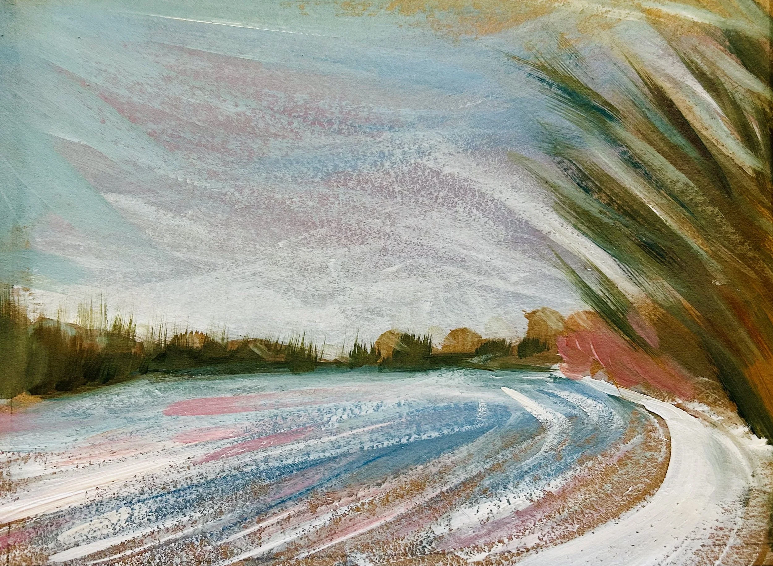 Snow Sweep