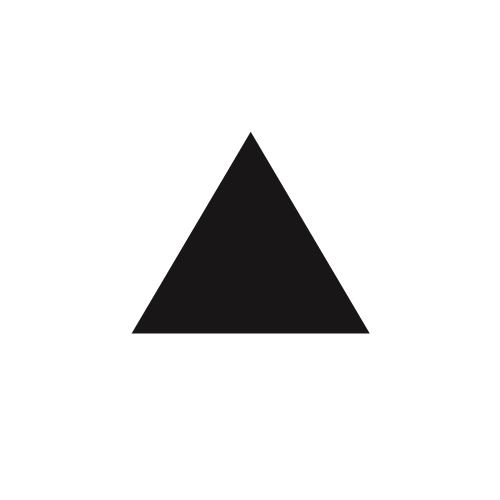 Black triangle centered within a black circle.