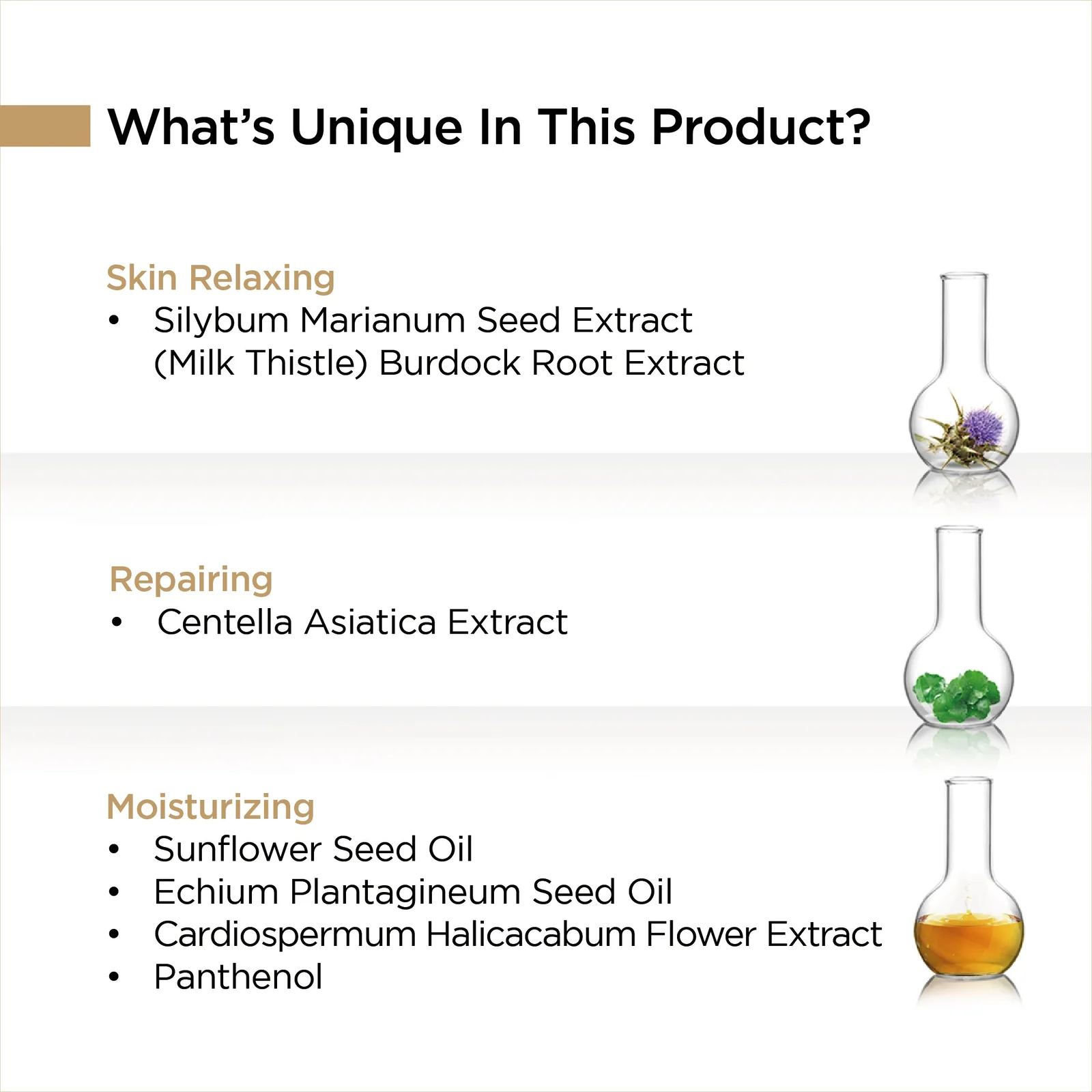 Milk_Thistle_Repair_Serum-04_64653700-cf0e-405b-b124-580bc3113d58.jpg