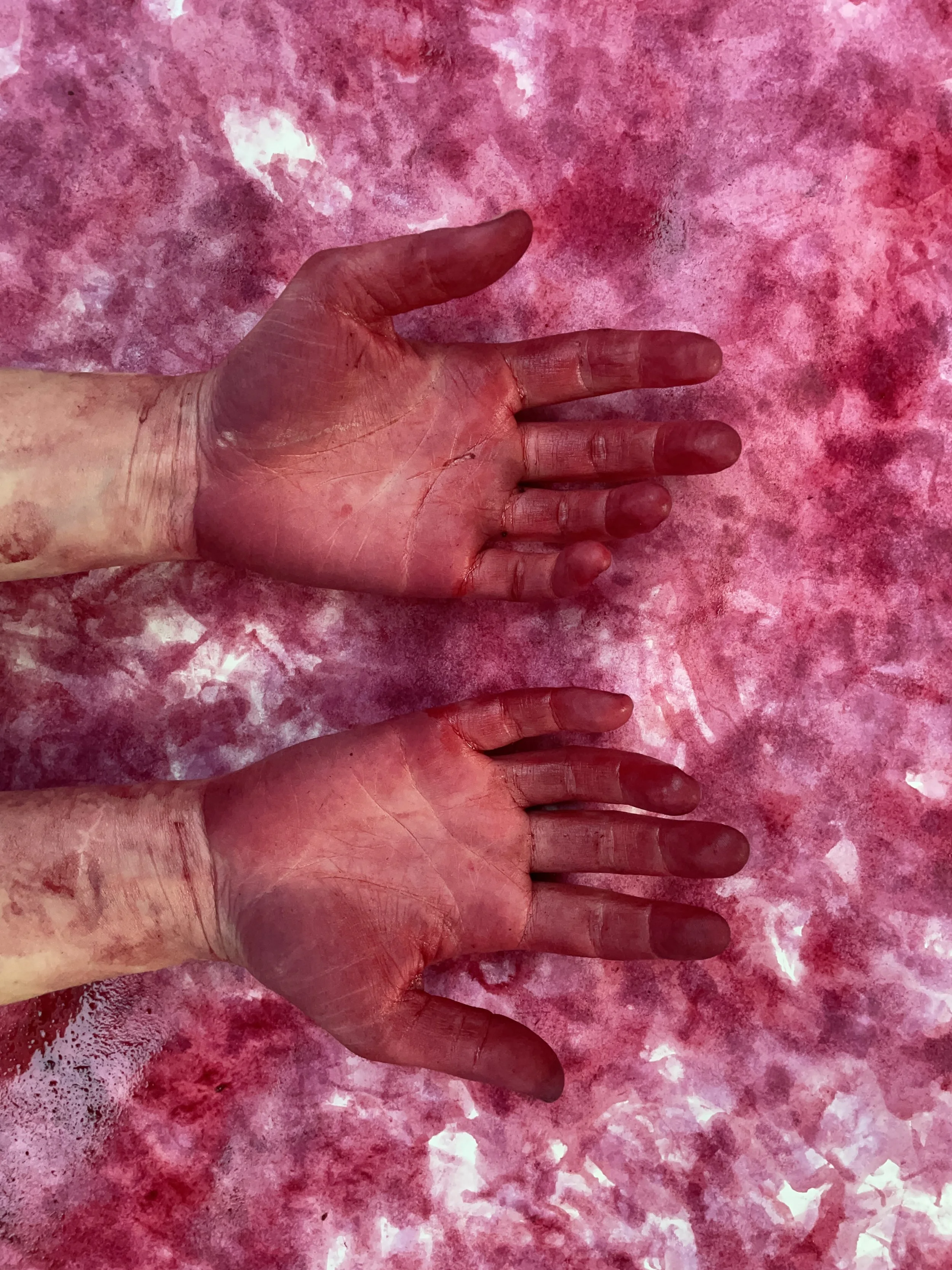 Nature Table - Emily Cropton - Bramble Ink.JPG