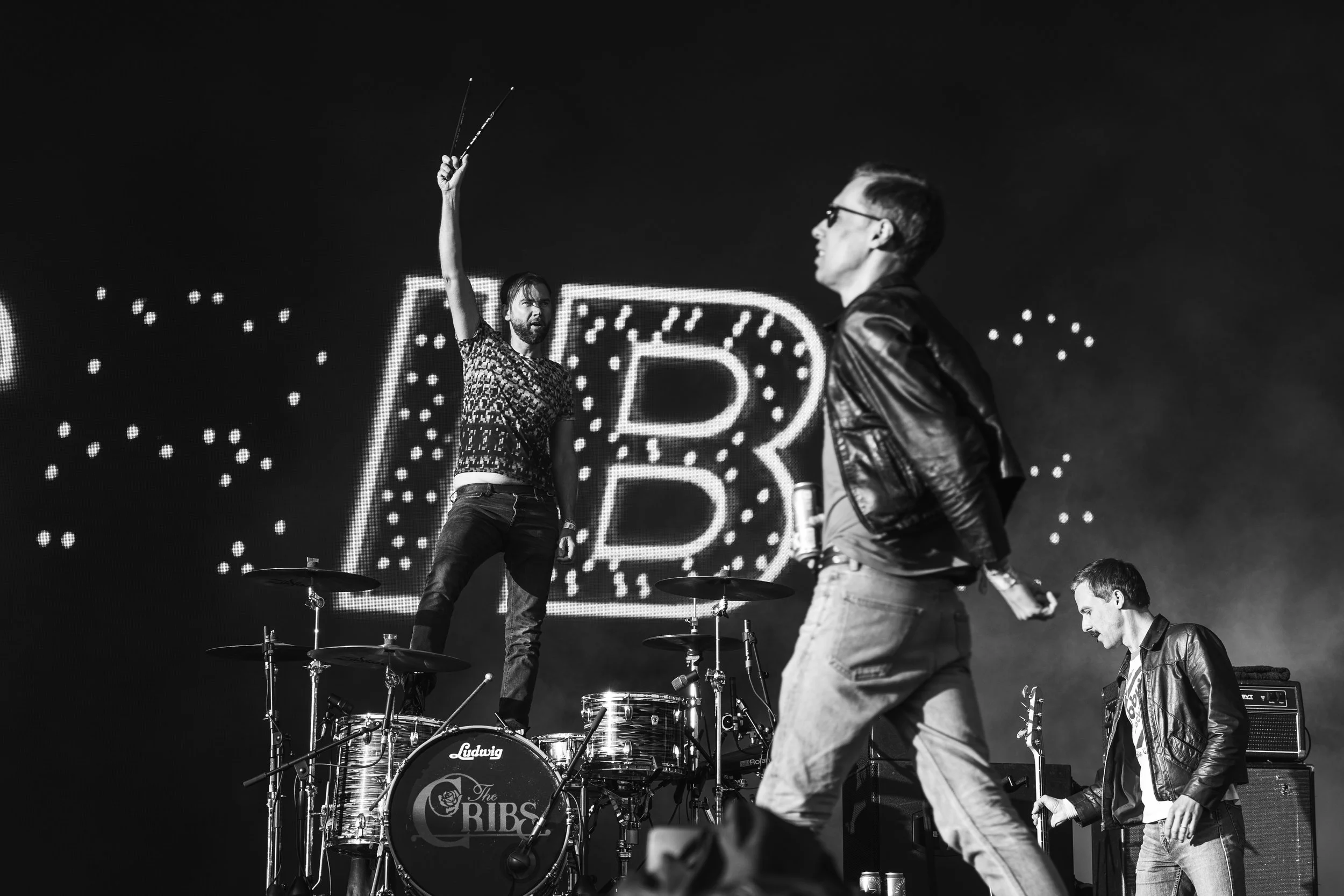 The Cribs