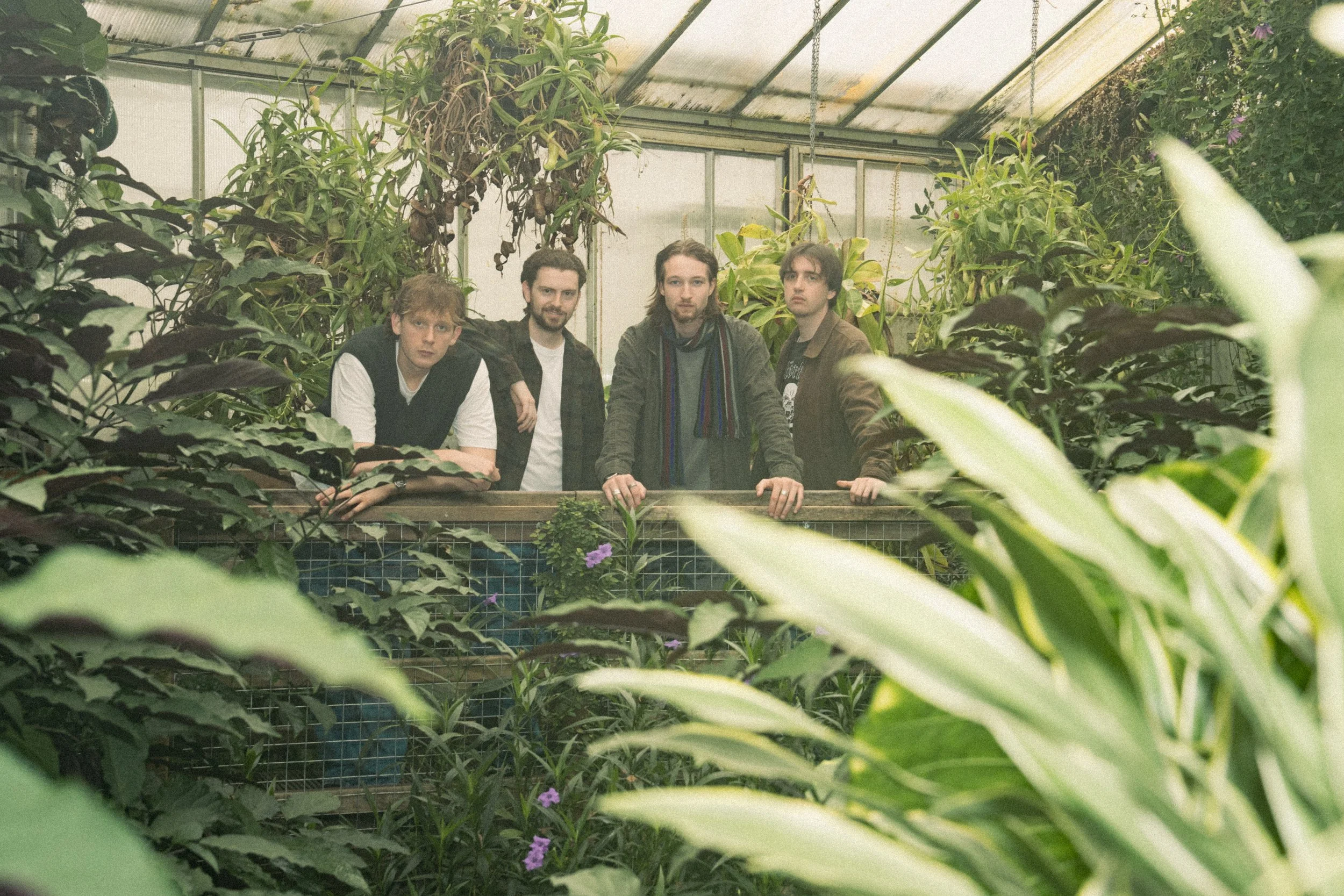 Four young men standing in a greenhouse surrounded by lush, green plants and flowers, looking towards the camera.