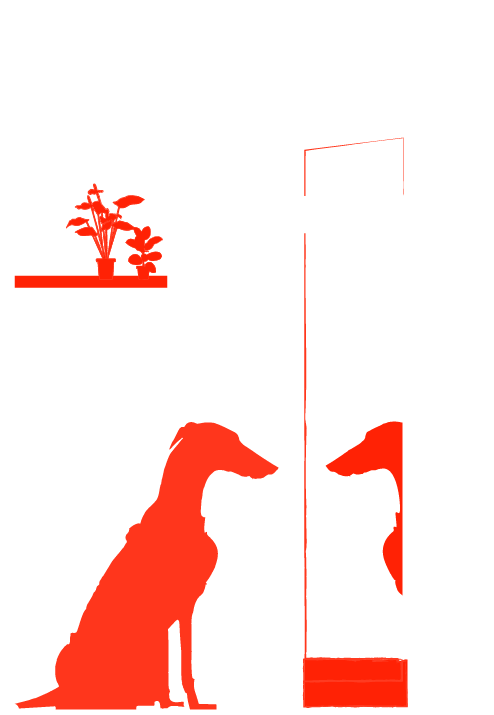 zippiTavola disegno 2 copia 90@3x.png