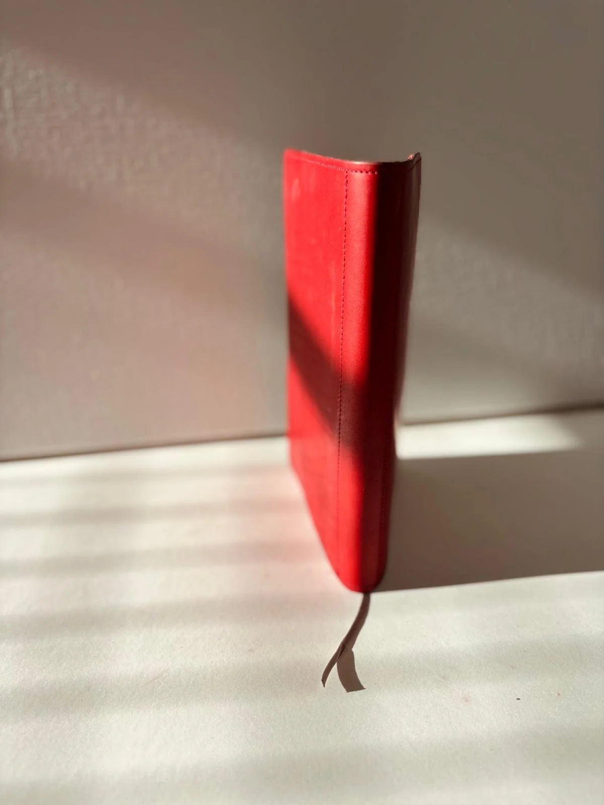 WhatsApp Image 2026-02-12 at 16.05.15.jpeg