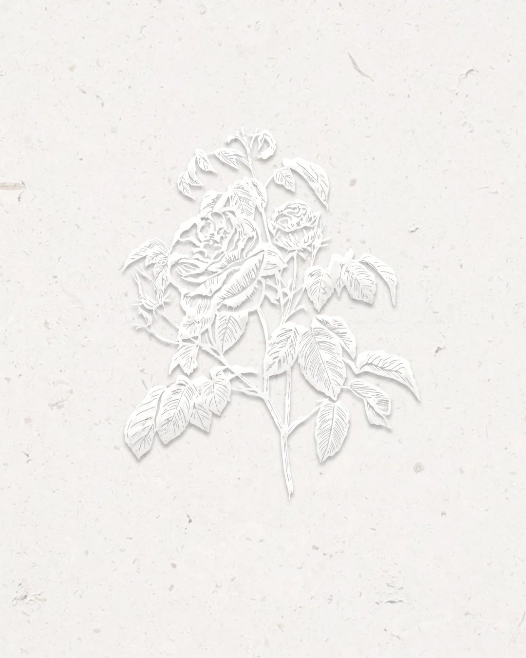 This lovely embossed floral formed part of a new brand identity created with for the hugely talented and experienced wedding planner @sarah.j.vaux . We leaned into Sarah&rsquo;s love of roses and gardening and created a series of floral illustrations