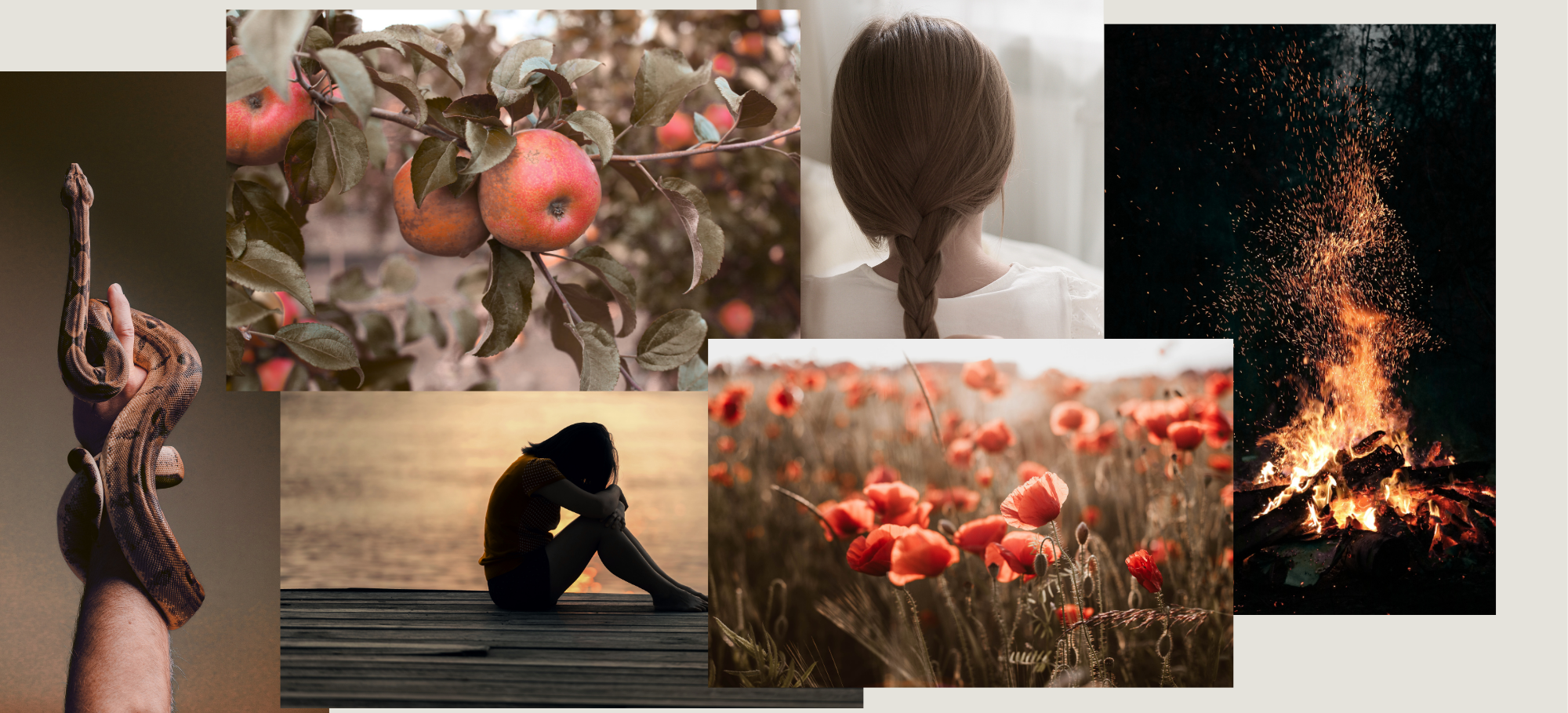A collage of various scenes including a snake wrapped around a person's arm, ripe apples on a tree, a woman with braided hair looking away, a girl sitting alone by water, a field of red poppies, and sparks flying from a fire.