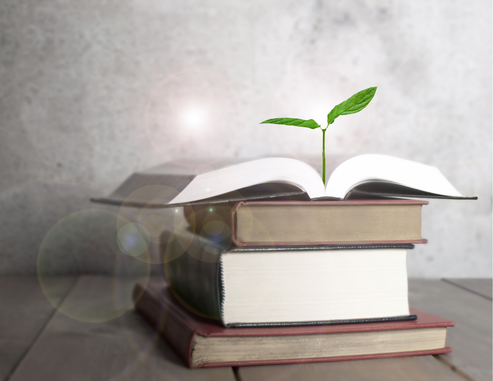 A stack of four books with a small green plant sprouting from its open pages.