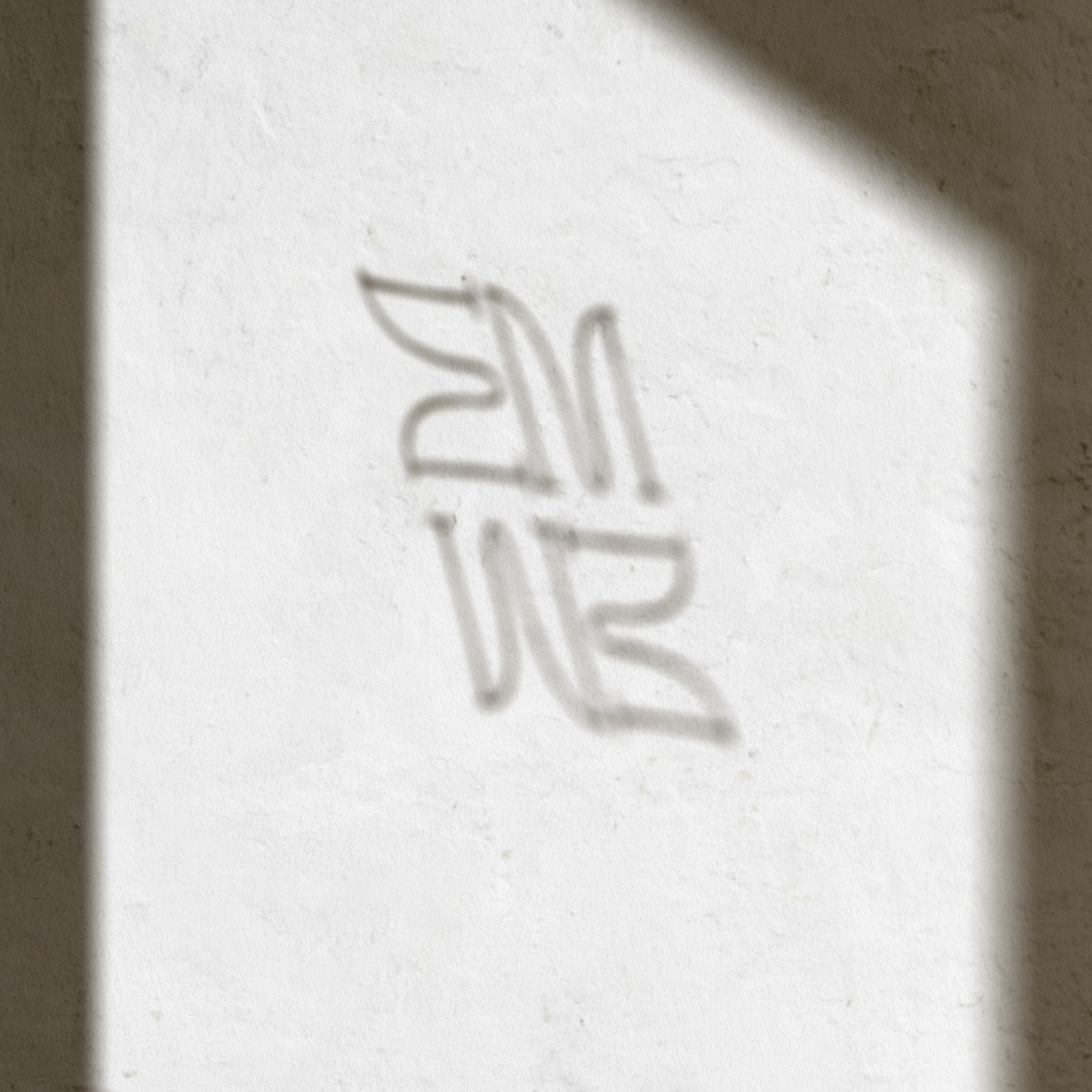 branding and packaging design minimalist studio cohesive visual identity system