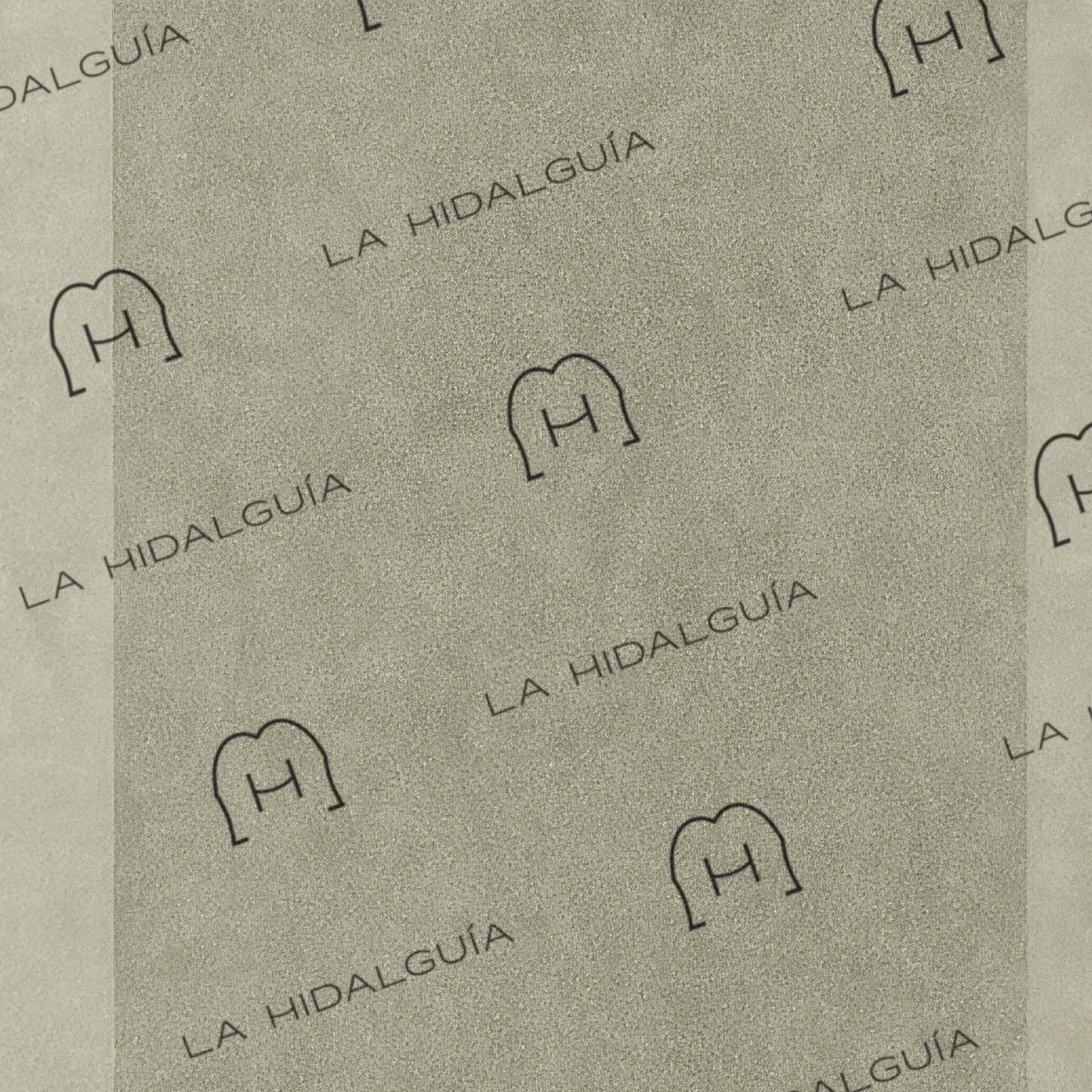 What Is Included in a Brand Identity? A Complete Guide