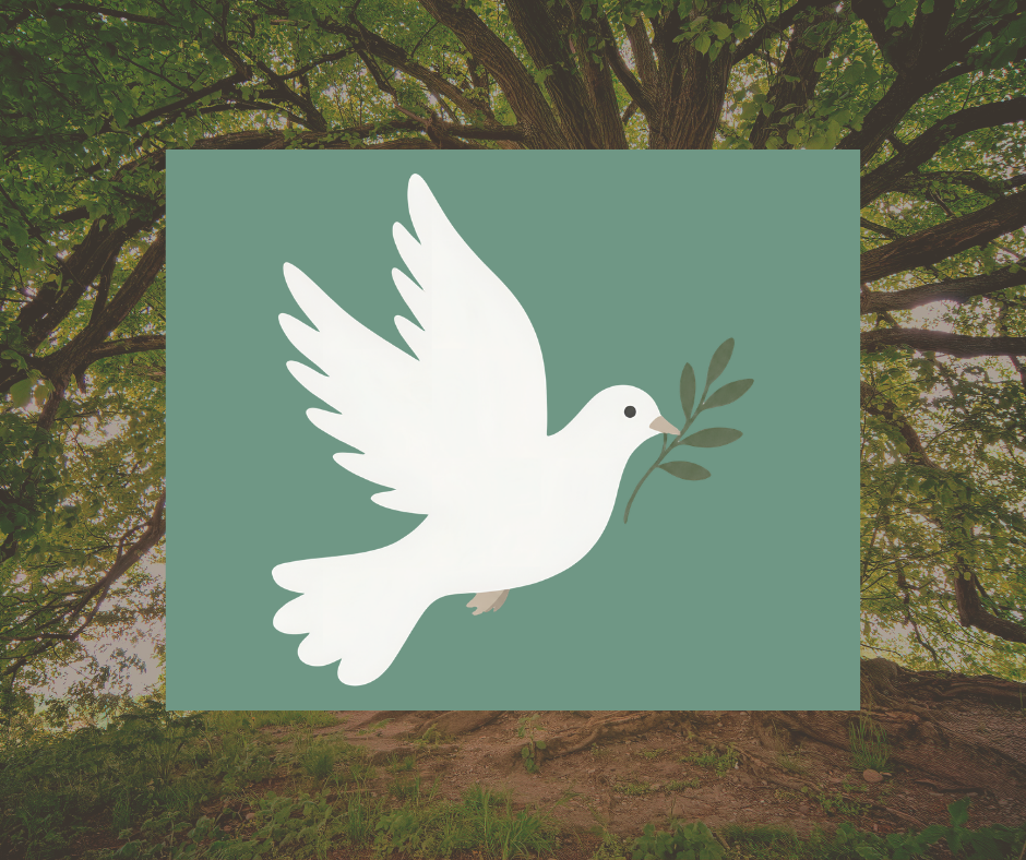 Trauma & Grief Through the Seasons