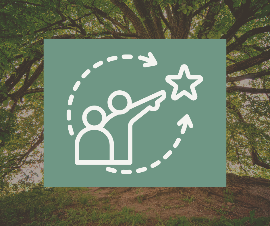 Ins & Outs of Clinical Supervision
