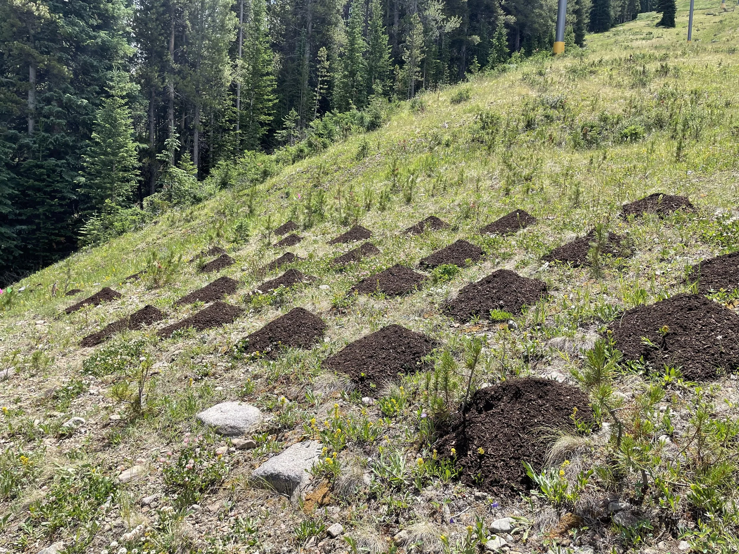 copper_mtn_2023_7.jpg