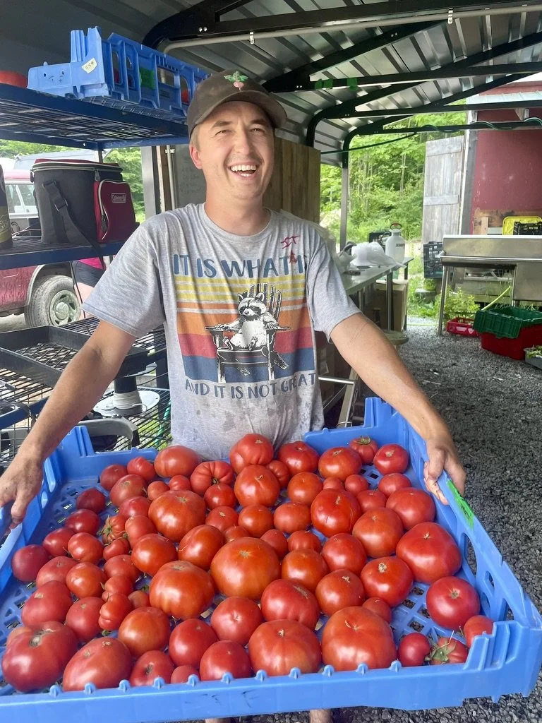 a farmer holds a tray full of ripe tomatoes