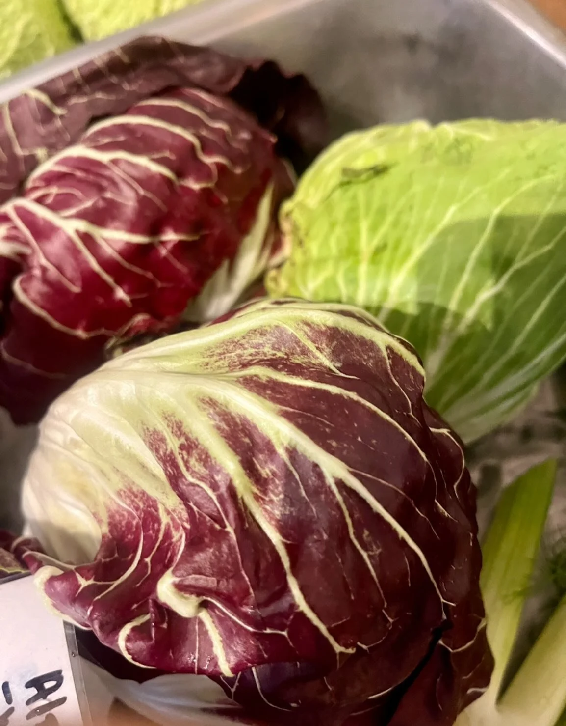 This week we are bringing to your attention some gorgeous radicchio from Sophie and Noah of Alprilla Farm in Warner, NH!

Do you walk past the radicchio in the market because you aren't quite sure what to do with them?

Well, fret not, this is a fun,