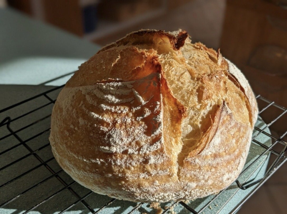 Coffee and Sourdough Tasting!