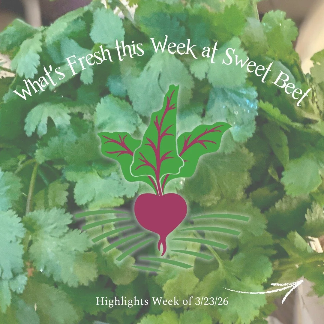 What's Fresh this Week at Sweet Beet?
- First spinach of the season from @springledgefarm 
- Cilantro from @brookfordfarm 
- Tulips from @soundrootsfarm 
- All the apples from @champlainorchards 

Stop in:
Wed - Fri 11 am - 5 pm
Sat &amp; Sun 9 am - 