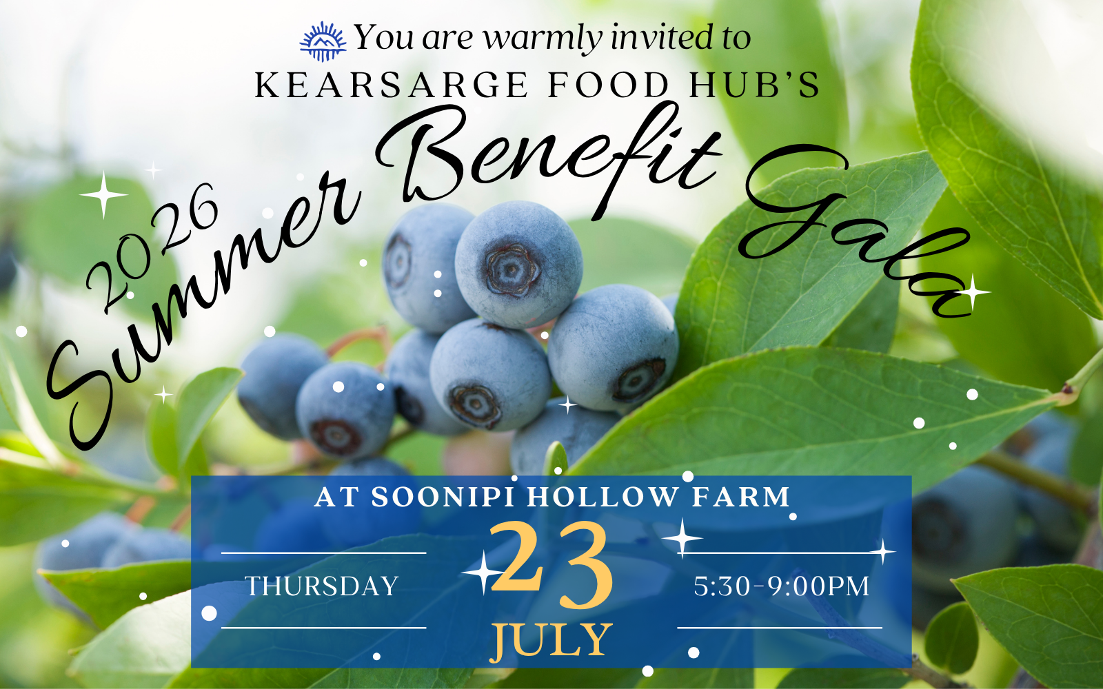 Summer Benefit Gala