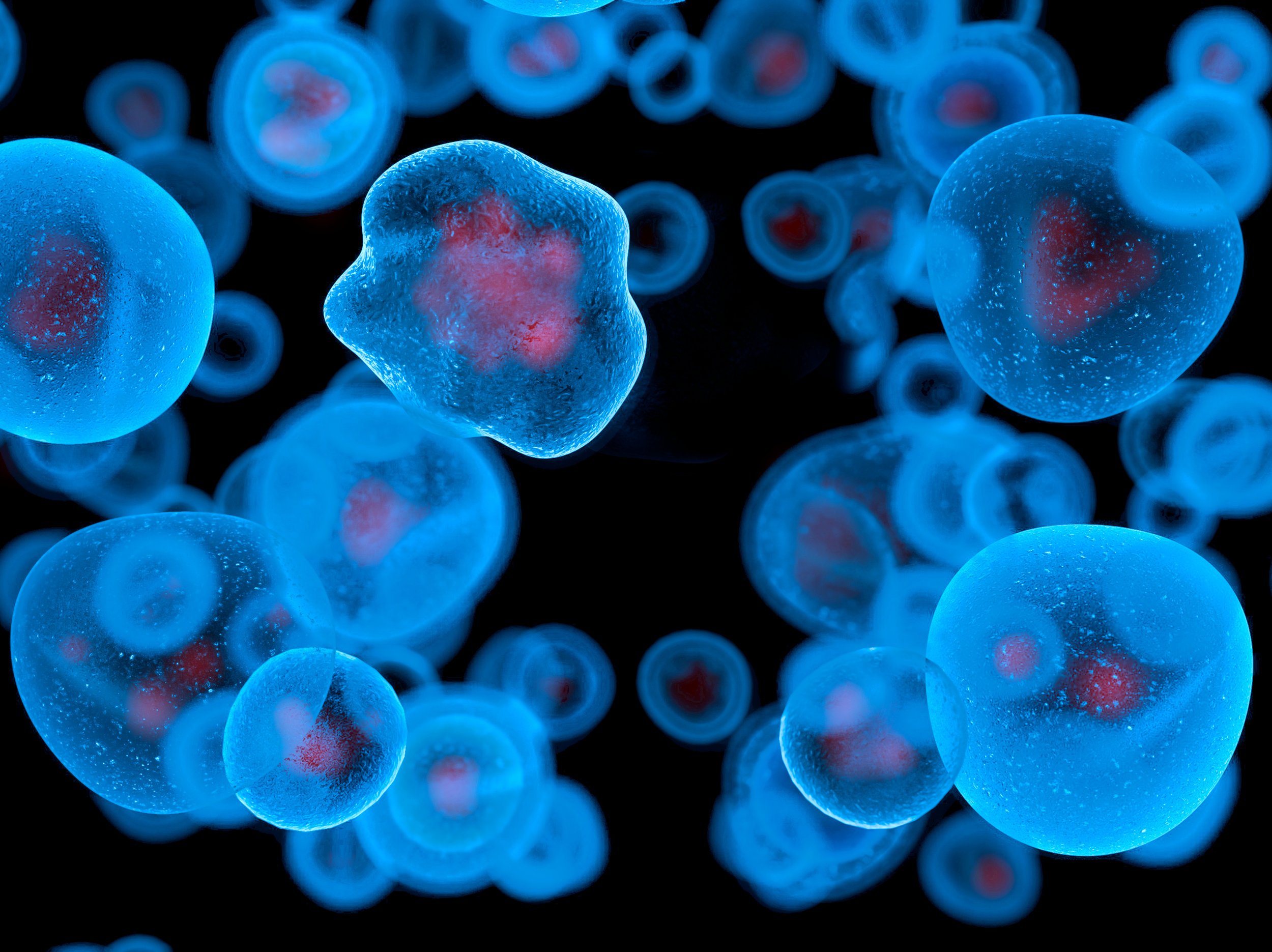 3D rendering of cancer cells